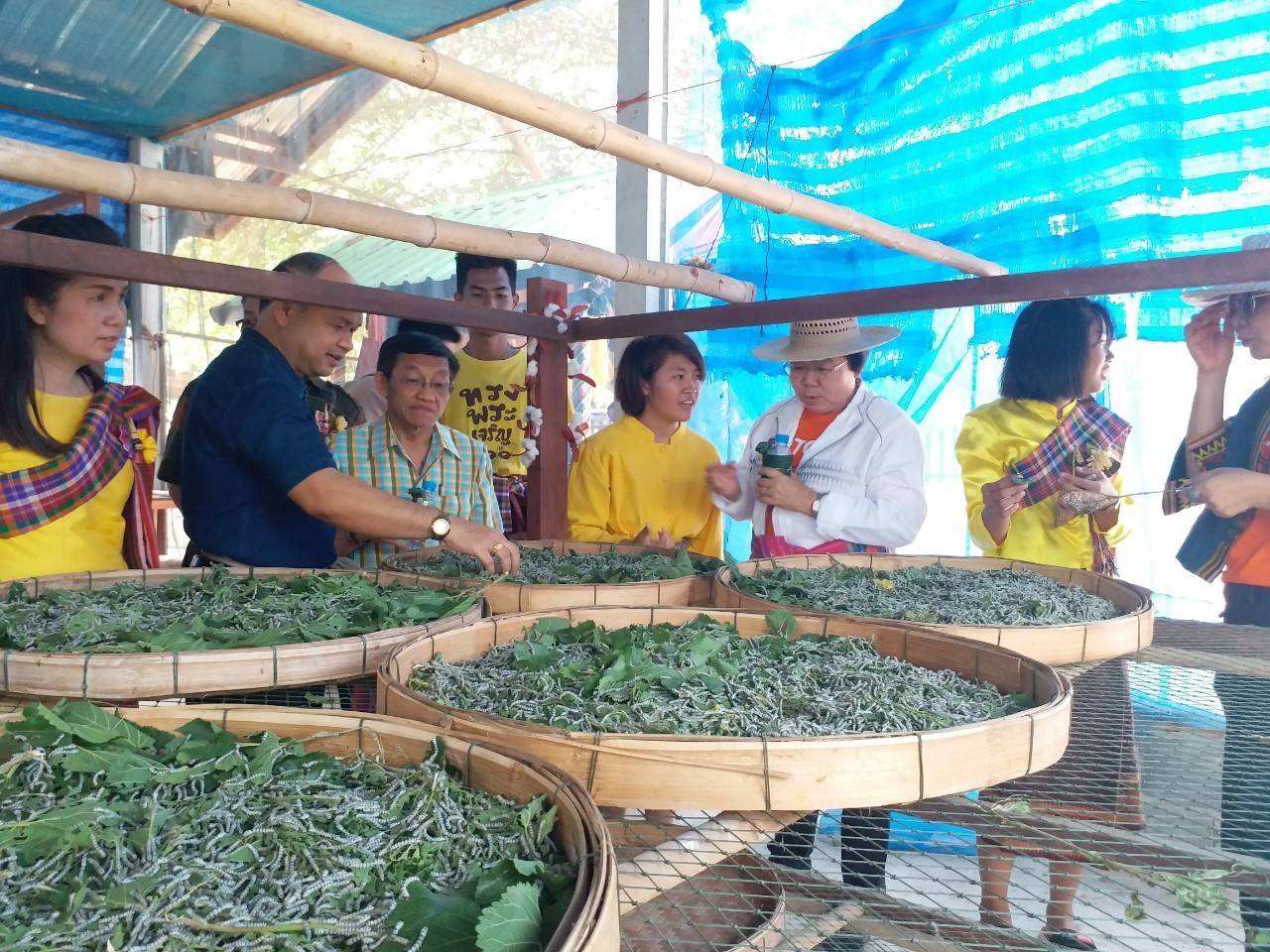 ?ผู้ตรวจราชการกรมการพัฒนาชุมชน   ลงพื้นที่ตรวจราชการ การดำเนินงานชุมชนท่องเที่ยว OTOP นวัตวิถี  บ้านดงบัง  อ.เขาสวนกวาง  จ.ขอนแก่น?️