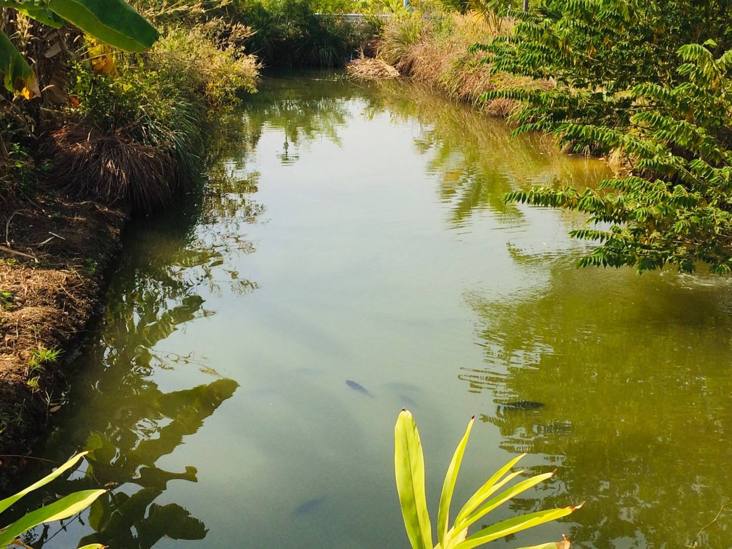 ?พช.ขอนแก่น ลงพื้นที่ติดตามการเตรียมความพร้อมครัวเรือนเป้าตามนโยบายการน้อมนำศาสตร์พระราชาสู่การปฏิบัติ “โคกหนองนา โมเดล” ปี 2563 ?