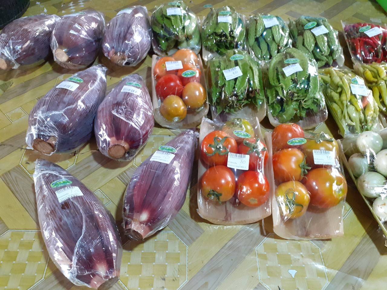 ?พช.ขอนแก่น ลงพื้นที่ติดตามการเตรียมความพร้อมครัวเรือนเป้าหมายตามนโยบายการน้อมนำศาสตร์พระราชาสู่การปฏิบัติ “โคก หนอง นา โมเดล” ปี 2563 ?