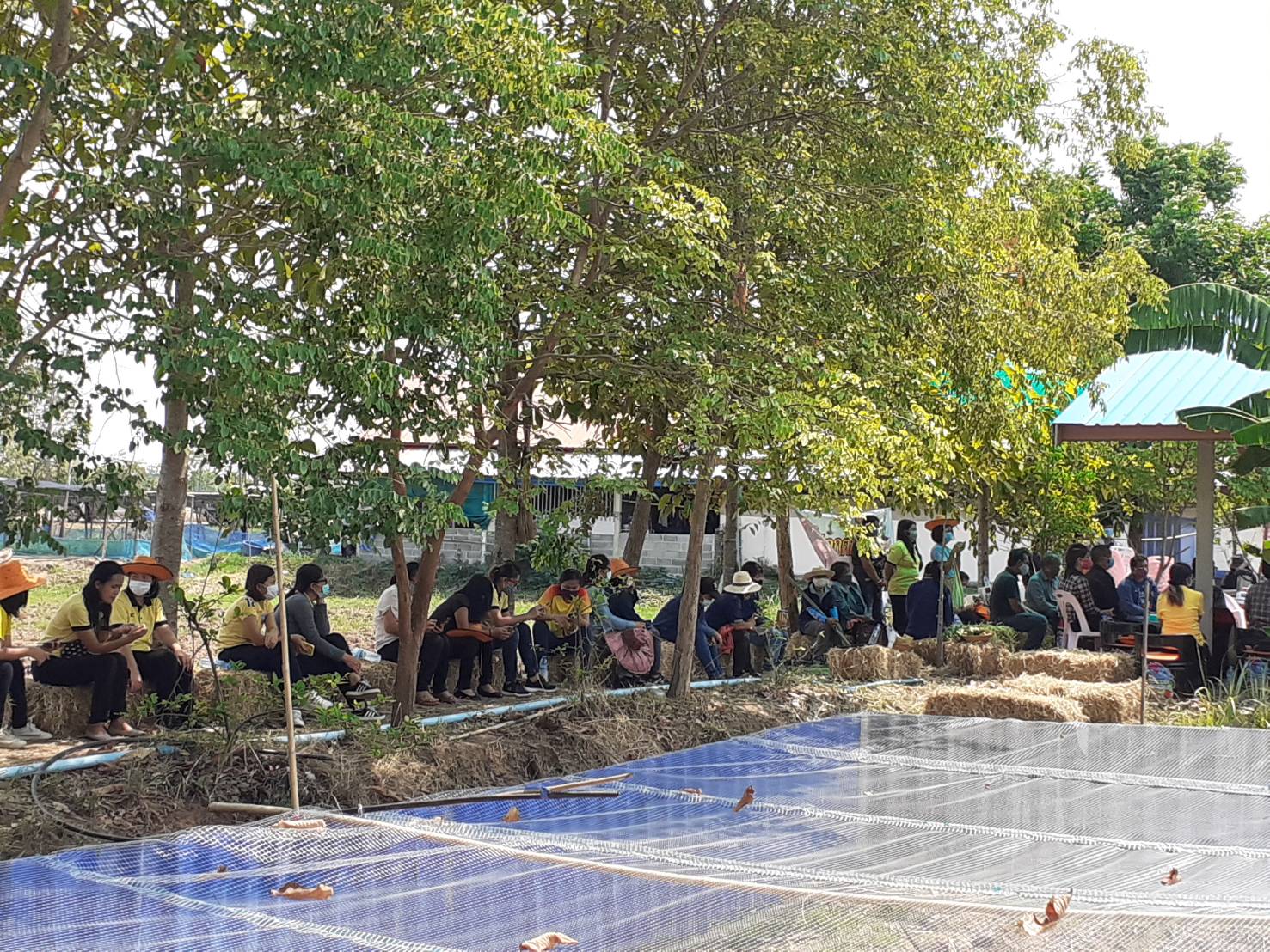 ? พช.ขอนแก่น : ร่วมเอามื้อสามัคคี โคก หนอง นาโมเดล “หิ้วตะกร้า ถือถุงผ้า แบกจอบเสียม ร่วมขุดคลองฮองเหมียง” ณ บ้านฮ่องแซง หมู่ที่ 7 ตำบลหัวทุ่ง อำเภอพล จังหวัดขอนแก่น ?