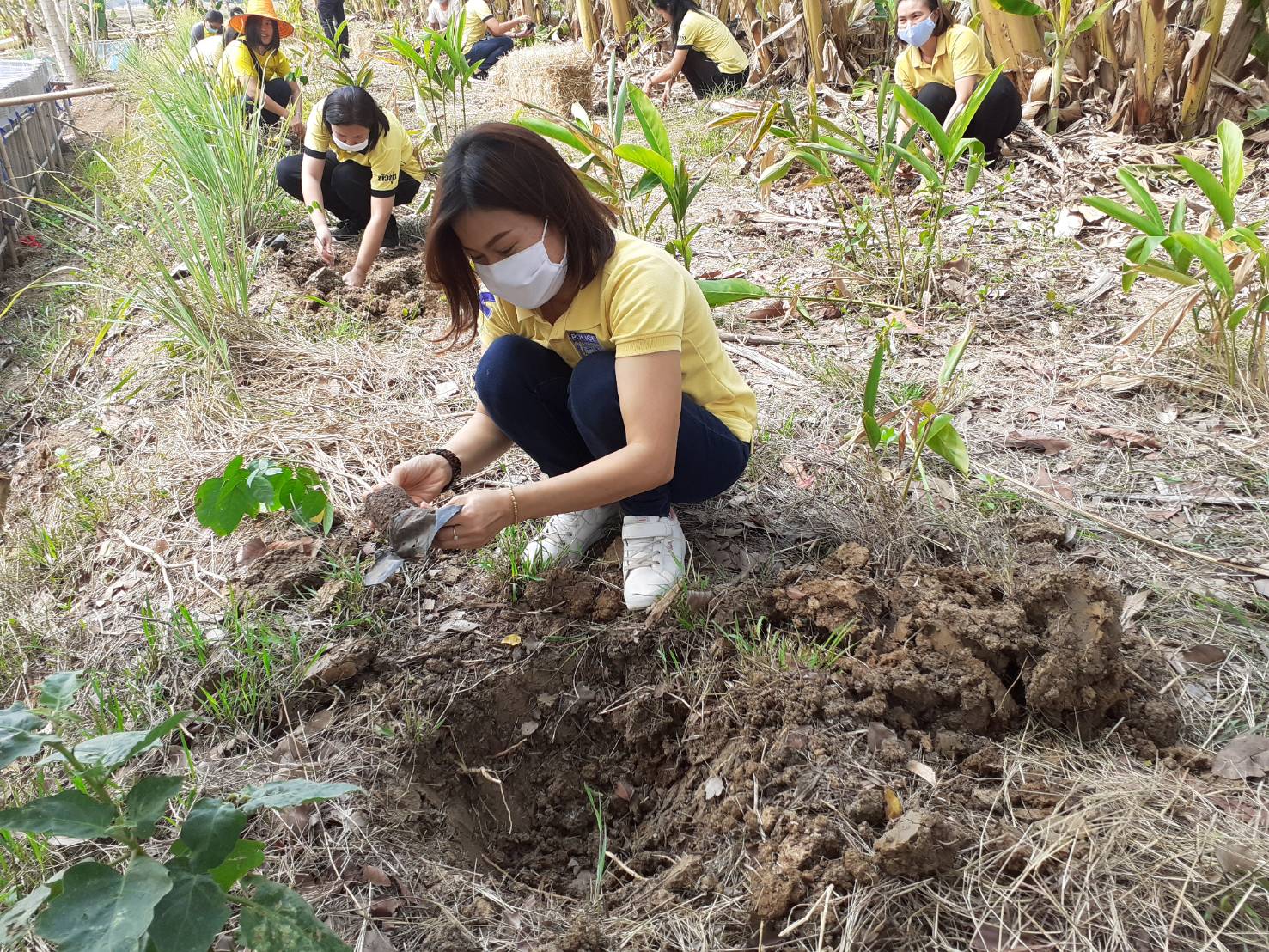 ? พช.ขอนแก่น : ร่วมเอามื้อสามัคคี โคก หนอง นาโมเดล “หิ้วตะกร้า ถือถุงผ้า แบกจอบเสียม ร่วมขุดคลองฮองเหมียง” ณ บ้านฮ่องแซง หมู่ที่ 7 ตำบลหัวทุ่ง อำเภอพล จังหวัดขอนแก่น ?