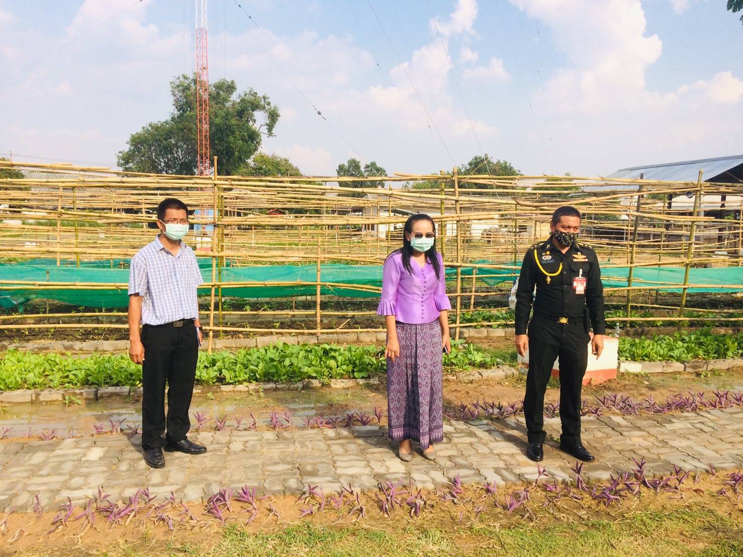 ? จังหวัดขอนแก่น : ประสานการขับเคลื่อนแผนปฏิบัติการ 90 วัน “ปลูกผักสวนครัว เพื่อสร้างความมั่นคงทางอาหาร”และโครงการ “ทหารพันธุ์ดี” สู่ชุมชน ?