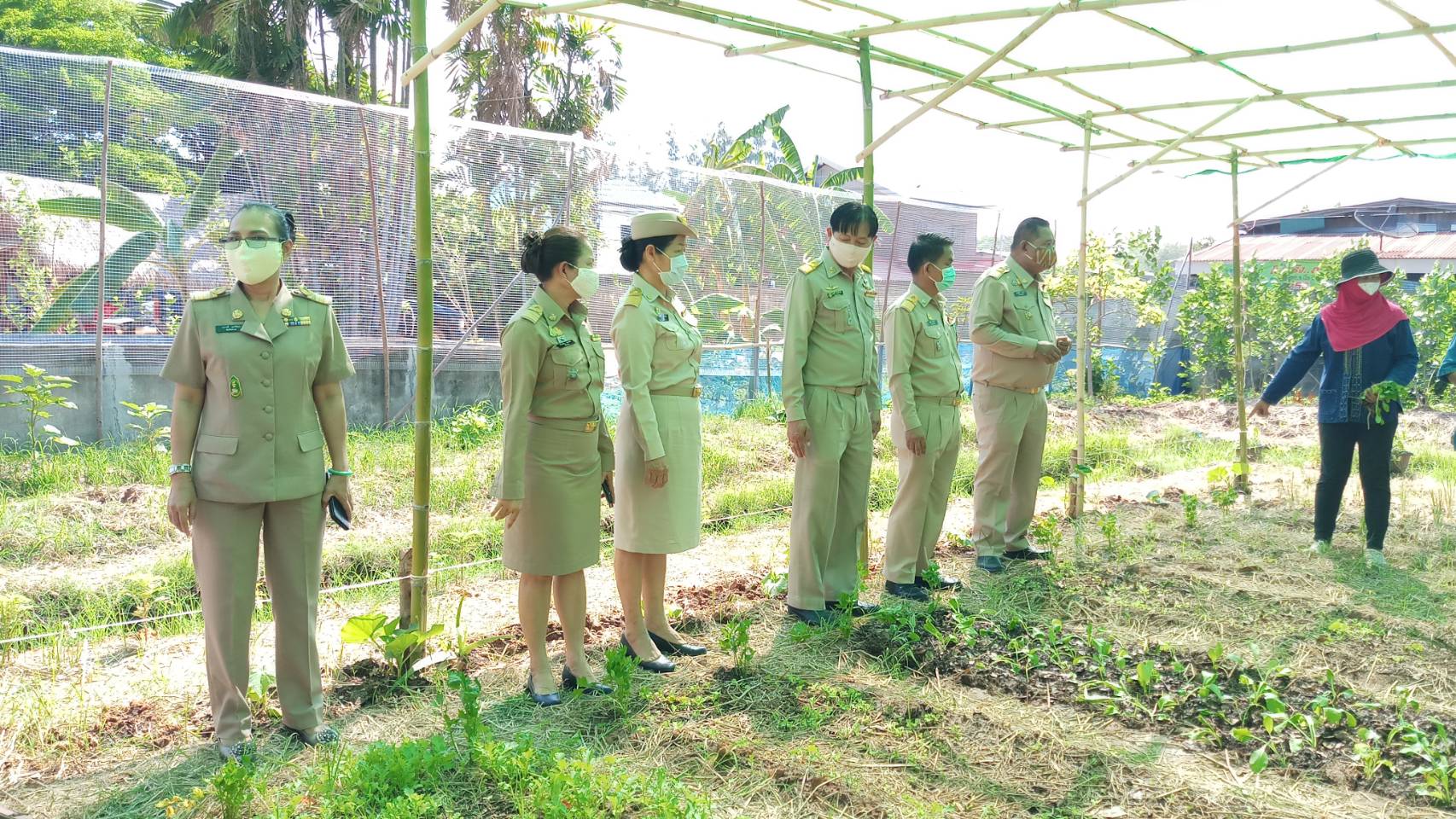 ? พช.ขอนแก่น จับมือภาคีรวมพลังสร้าง “คลังเมล็ดพันธุ์ผัก” ขยายผล 90 วัน ปลูกผักสวนครัว สร้างความมั่นคงทางอาหาร” ?