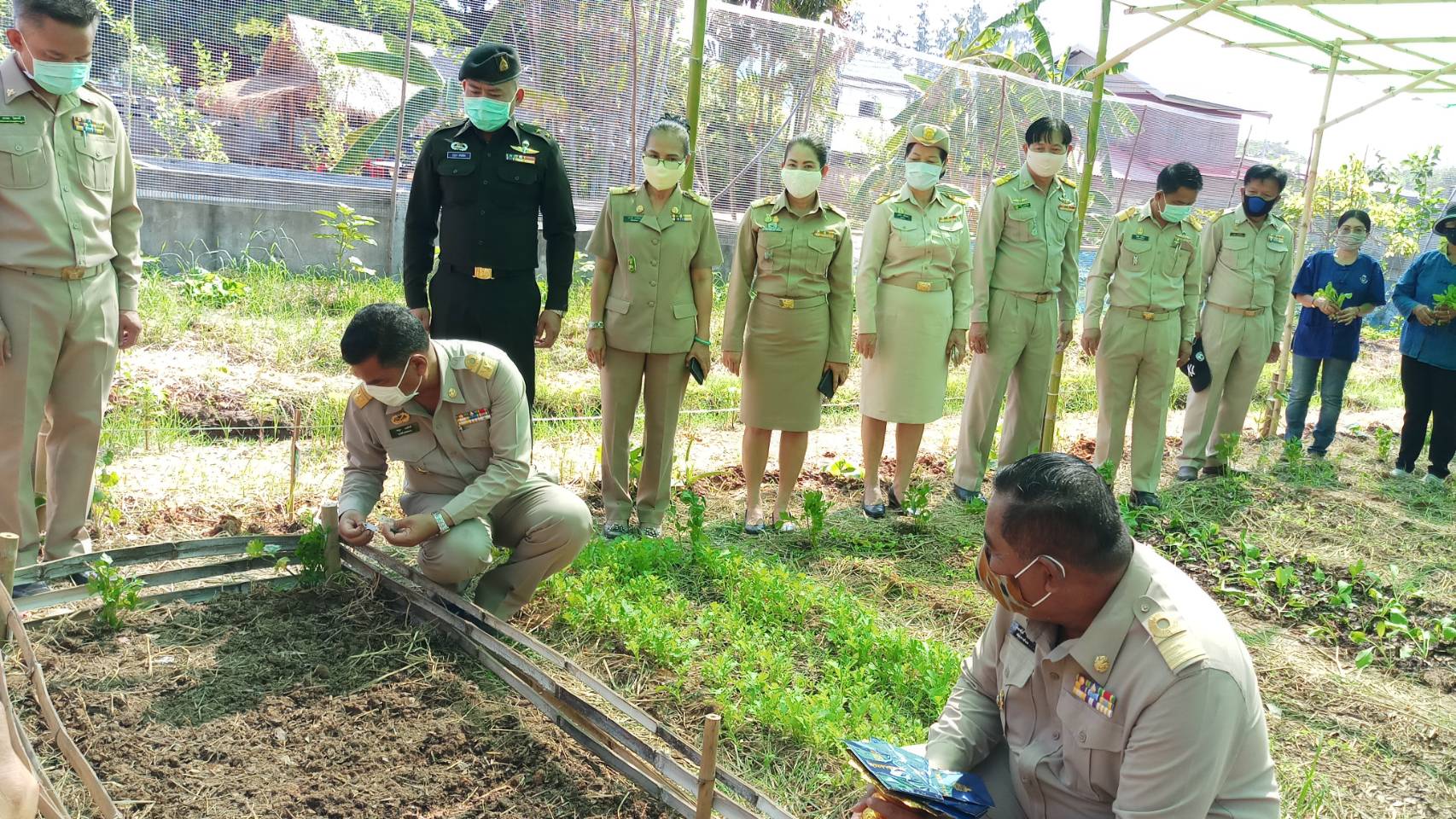 ? พช.ขอนแก่น จับมือภาคีรวมพลังสร้าง “คลังเมล็ดพันธุ์ผัก” ขยายผล 90 วัน ปลูกผักสวนครัว สร้างความมั่นคงทางอาหาร” ?