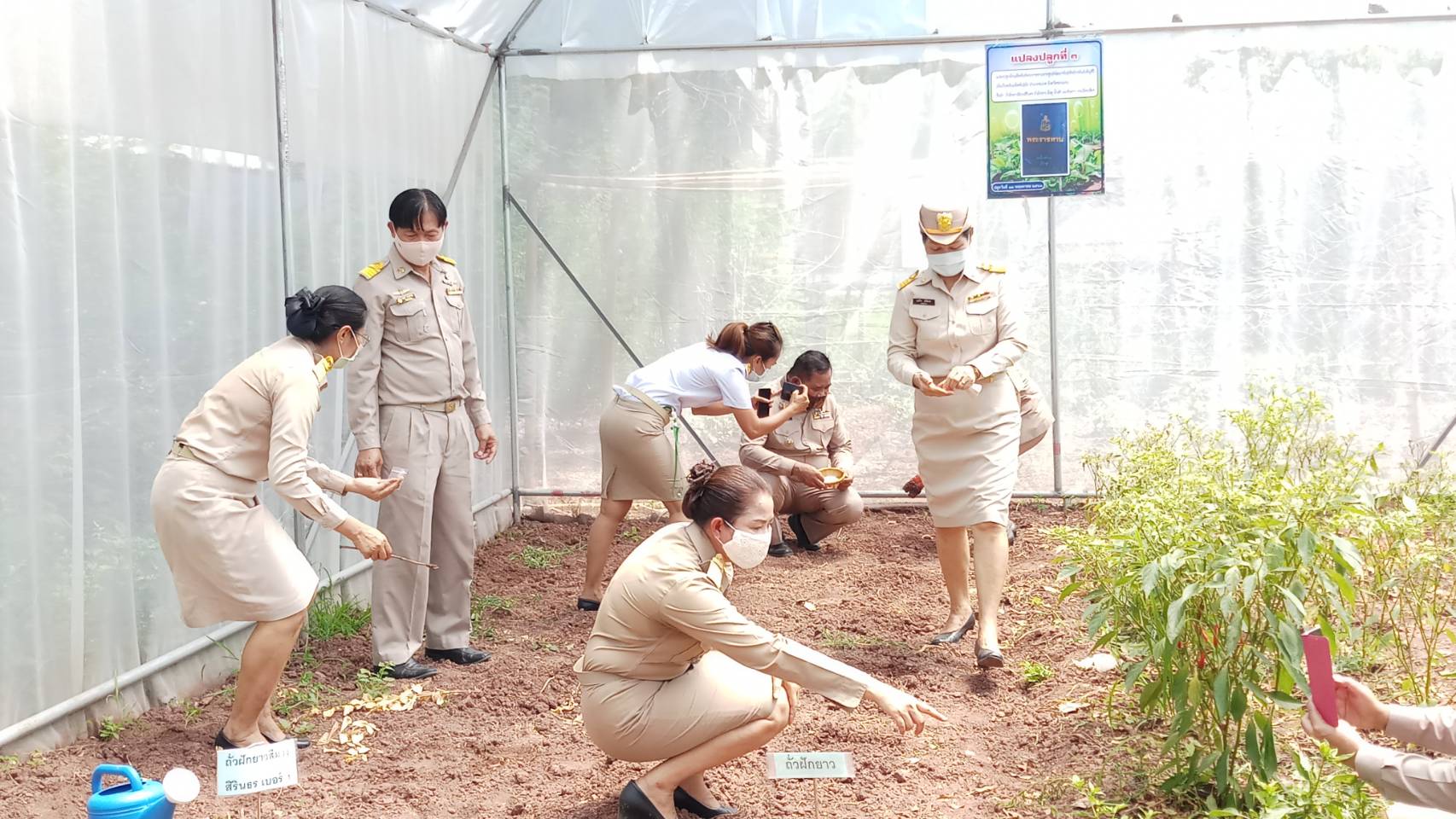? พช.ขอนแก่น จับมือภาคีรวมพลังสร้าง “คลังเมล็ดพันธุ์ผัก” ขยายผล 90 วัน ปลูกผักสวนครัว สร้างความมั่นคงทางอาหาร” ?