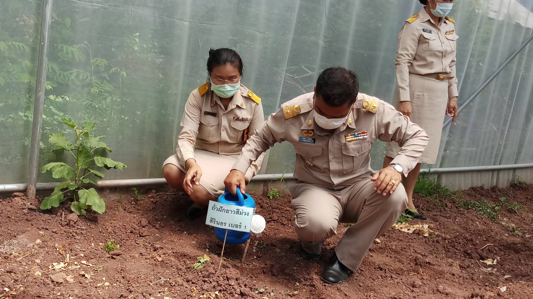 ? พช.ขอนแก่น จับมือภาคีรวมพลังสร้าง “คลังเมล็ดพันธุ์ผัก” ขยายผล 90 วัน ปลูกผักสวนครัว สร้างความมั่นคงทางอาหาร” ?