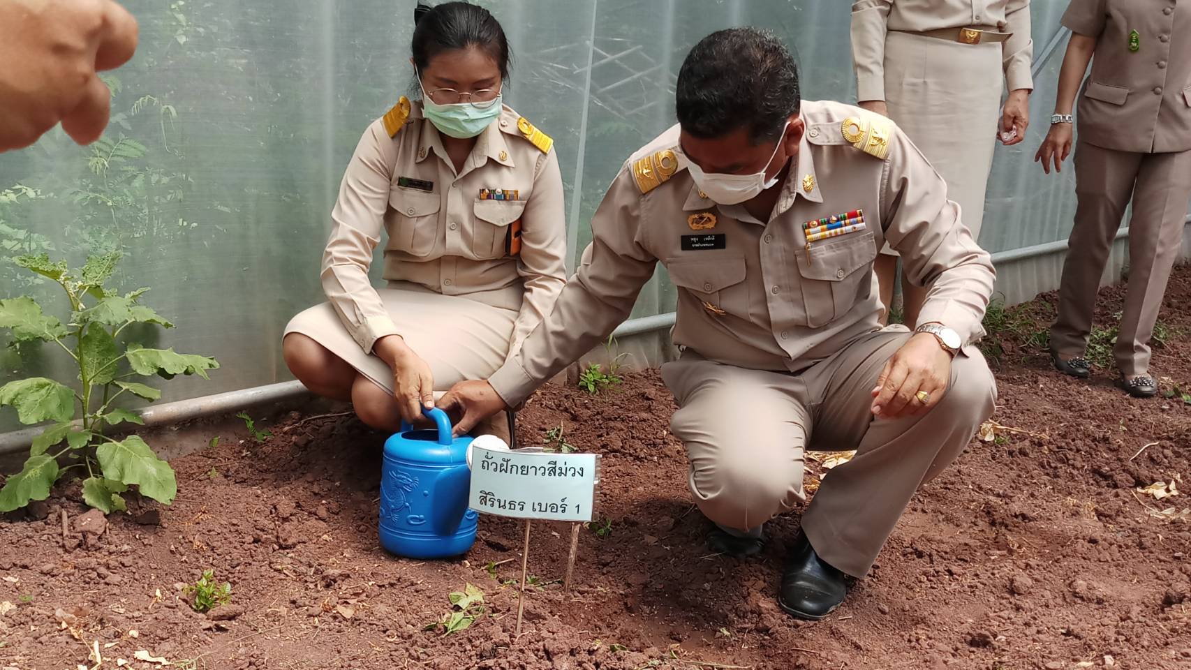 ? พช.ขอนแก่น จับมือภาคีรวมพลังสร้าง “คลังเมล็ดพันธุ์ผัก” ขยายผล 90 วัน ปลูกผักสวนครัว สร้างความมั่นคงทางอาหาร” ?