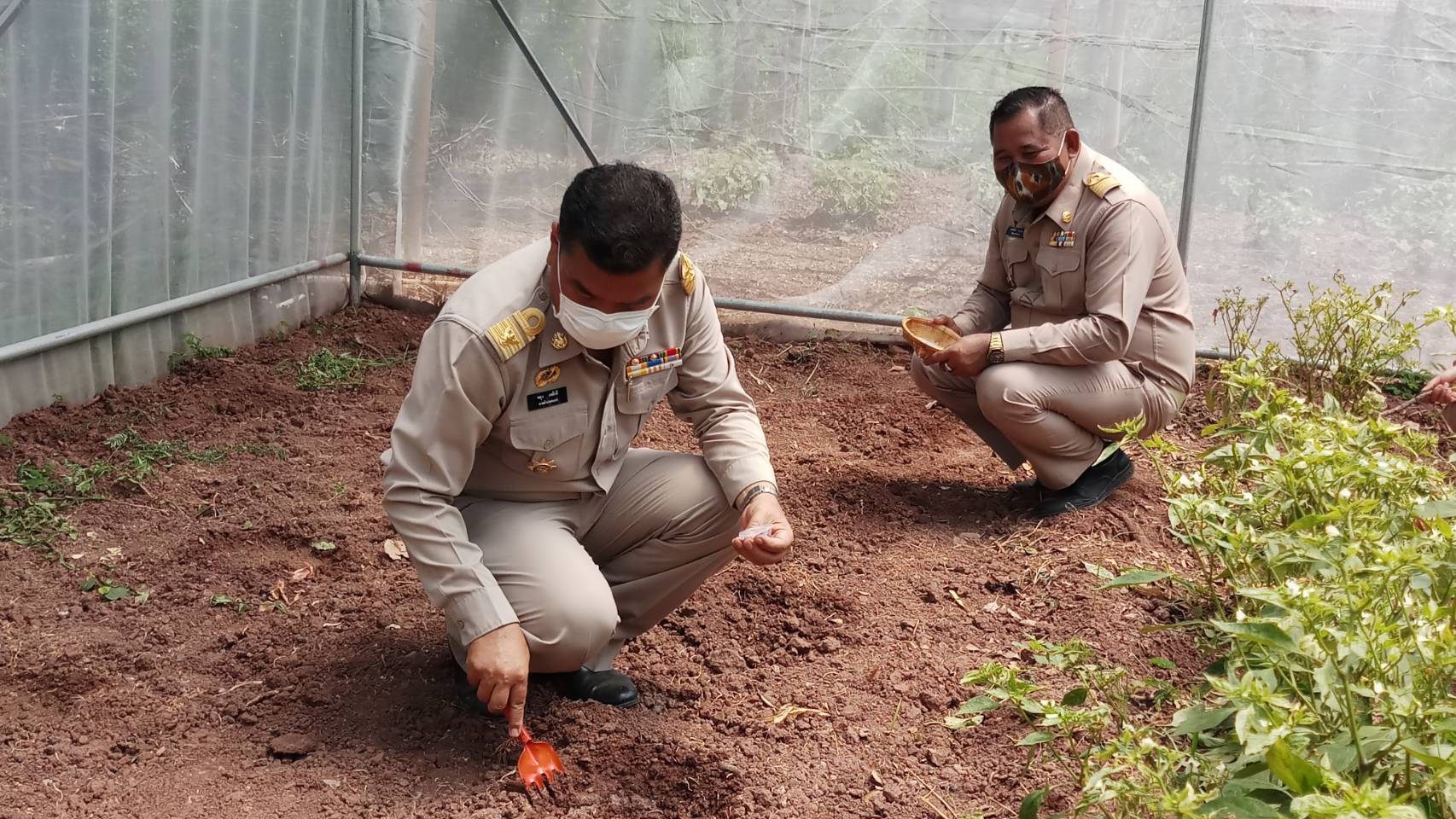 ? พช.ขอนแก่น จับมือภาคีรวมพลังสร้าง “คลังเมล็ดพันธุ์ผัก” ขยายผล 90 วัน ปลูกผักสวนครัว สร้างความมั่นคงทางอาหาร” ?