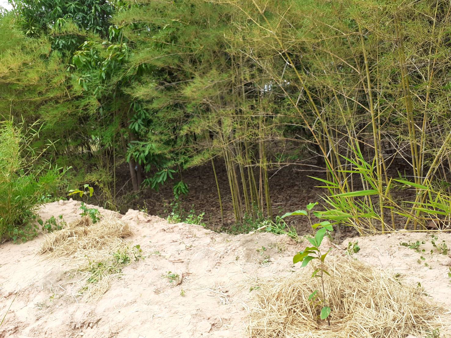 ? พช.ขอนแก่น เดินหน้าขับเคลื่อน “โคก หนอง นา โมเดล” อำเภอโนศิลา จังหวัดขอนแก่น ?