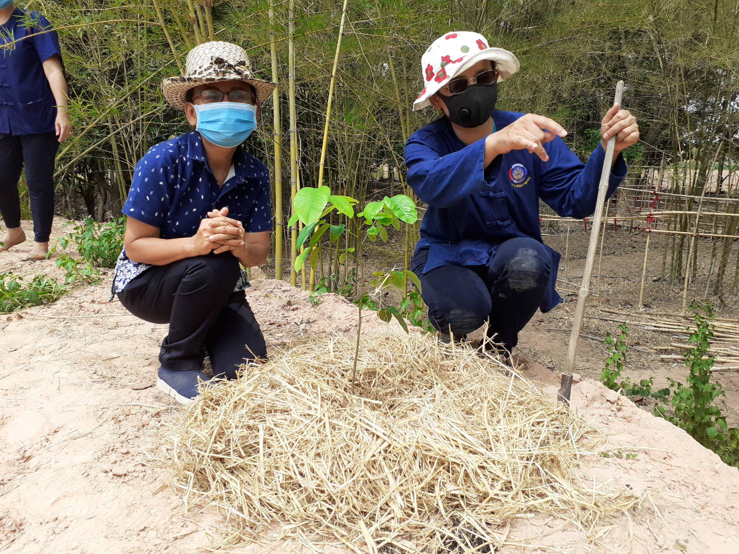 ? พช.ขอนแก่น เดินหน้าขับเคลื่อน “โคก หนอง นา โมเดล” อำเภอโนศิลา จังหวัดขอนแก่น ?