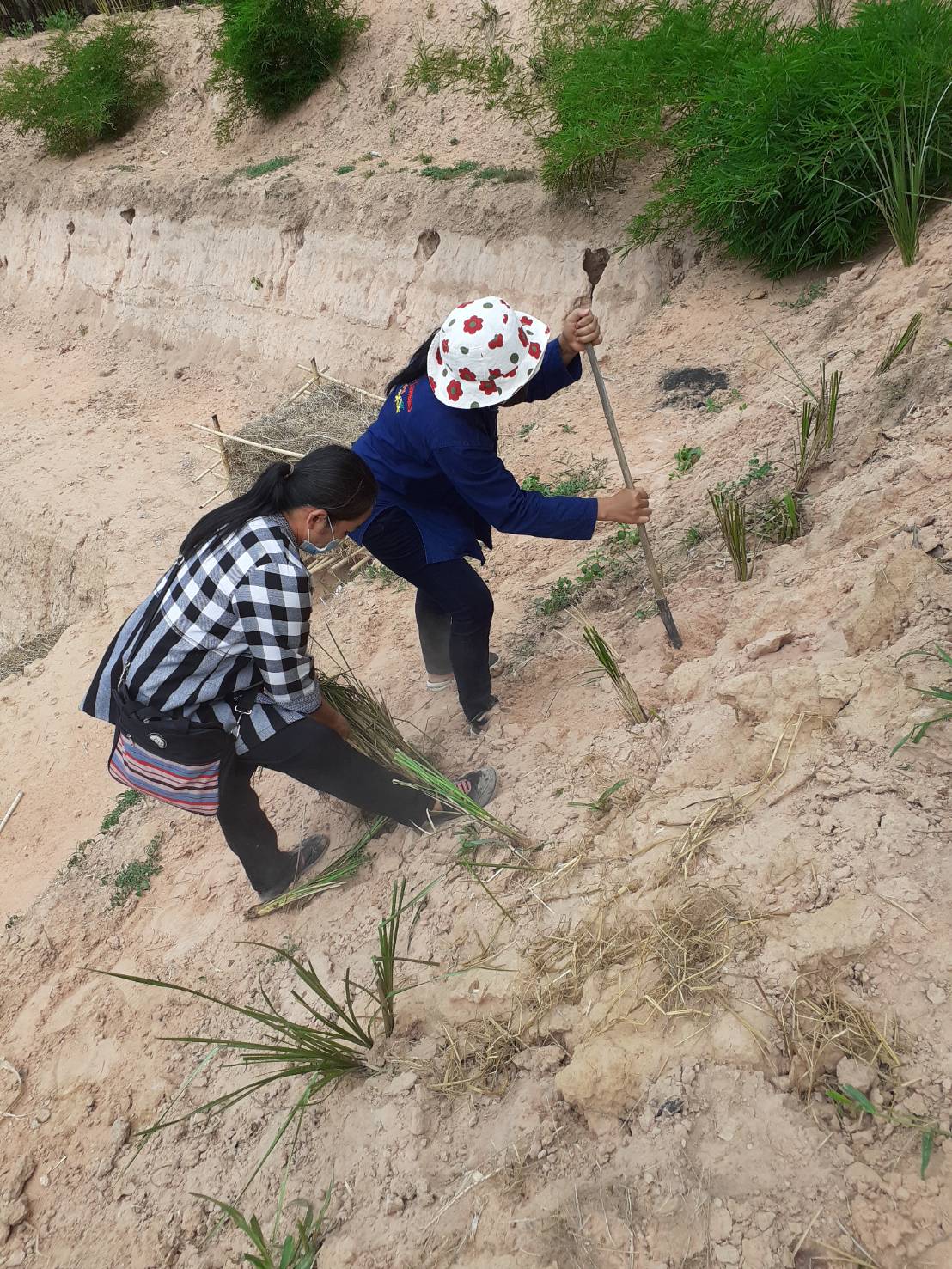 ? พช.ขอนแก่น เดินหน้าขับเคลื่อน “โคก หนอง นา โมเดล” อำเภอโนศิลา จังหวัดขอนแก่น ?