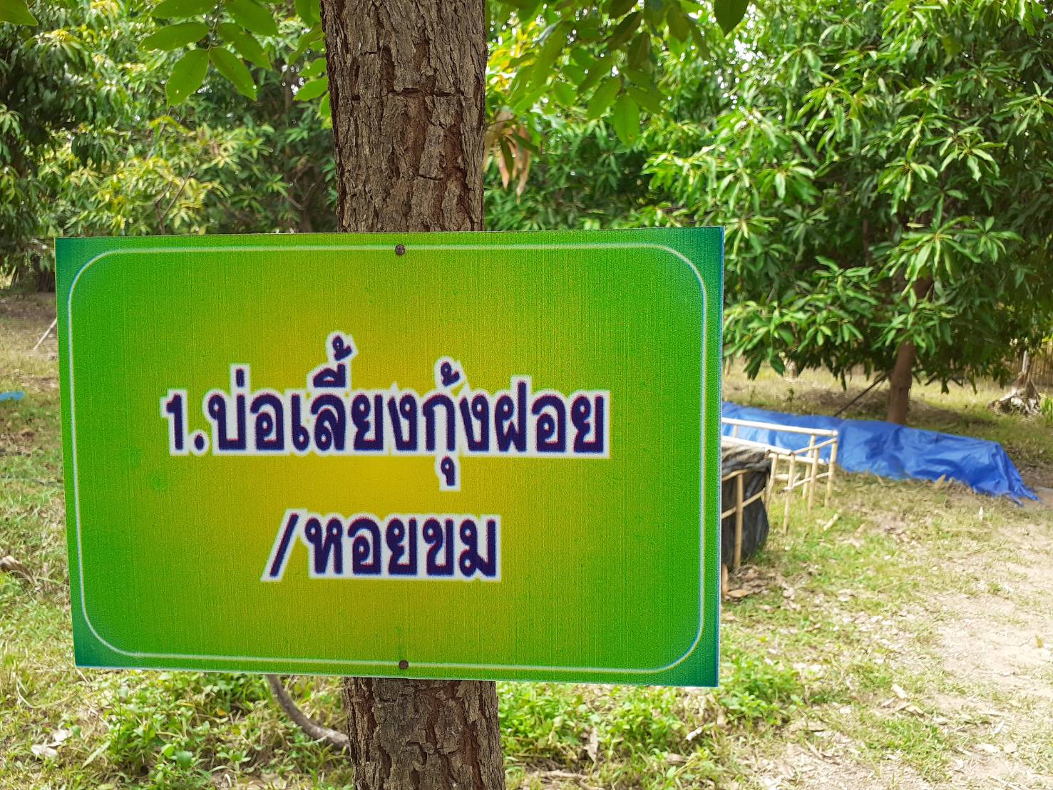? พช.ขอนแก่น เดินหน้าขับเคลื่อน “โคก หนอง นา โมเดล” อำเภอโนศิลา จังหวัดขอนแก่น ?