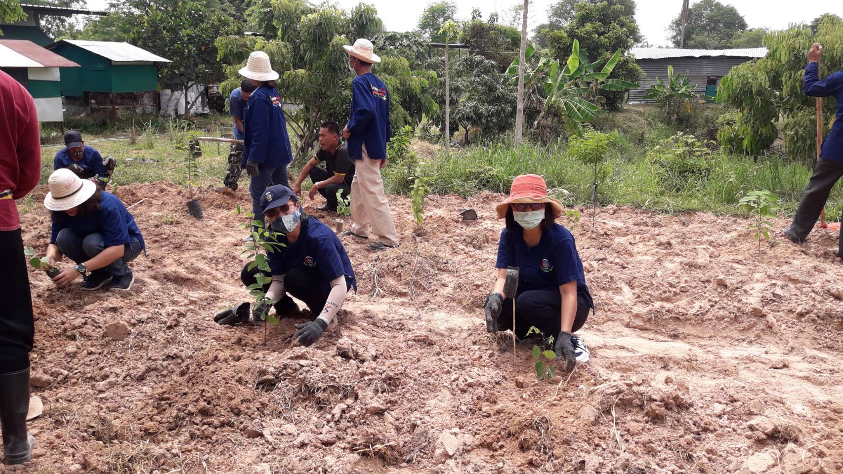 ? พช.ขอนแก่น เดินหน้า เอามื้อสามัคคี ทฤษฎีใหม่รูปแบบประยุค “โคก หนอง นาโมเดล” ?
