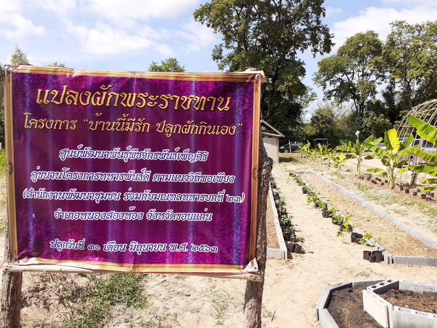 ? พช.ขอนแก่น เดินหน้า เอามื้อสามัคคี โคก หนอง นา “หิ้วปิ่นโตไปเอามื้อ ถือ จอบ เสียม ไปร่วมพลิกฟื้นผืนนา ผ่าวิกฤติโควิด 19 ” อำเภอหนองสองห้อง จังหวัดขอนแก่น ?