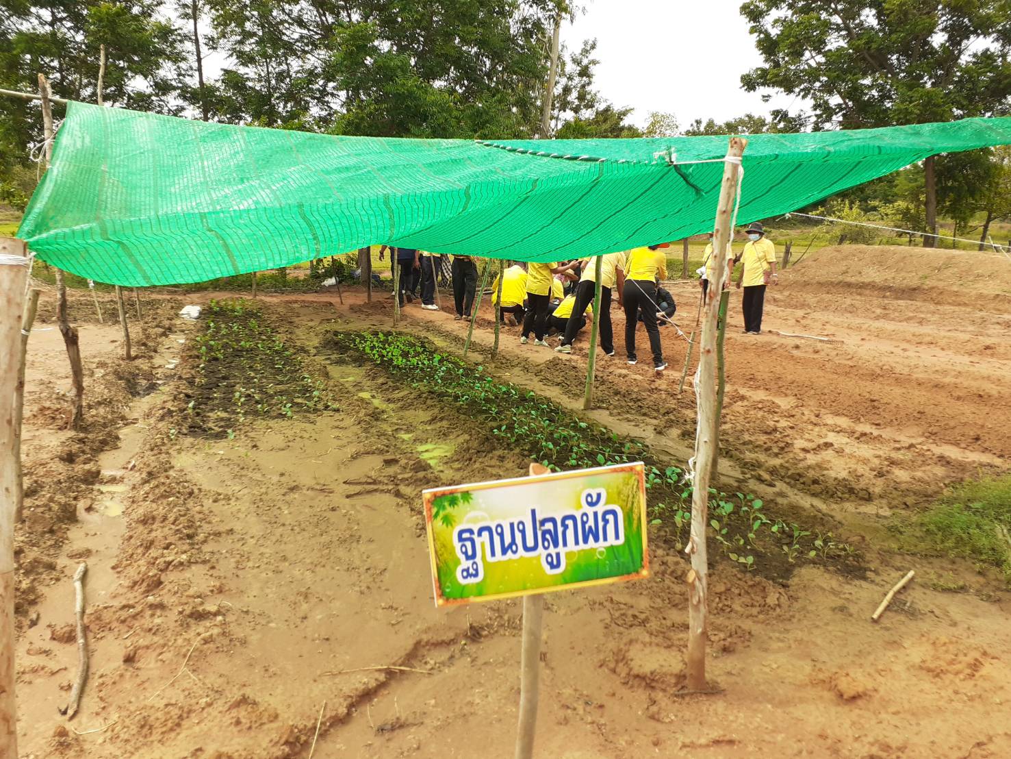 ? พช.ขอนแก่น เดินหน้า เอามื้อสามัคคี “โคก หนอง นาโมเดล” ?