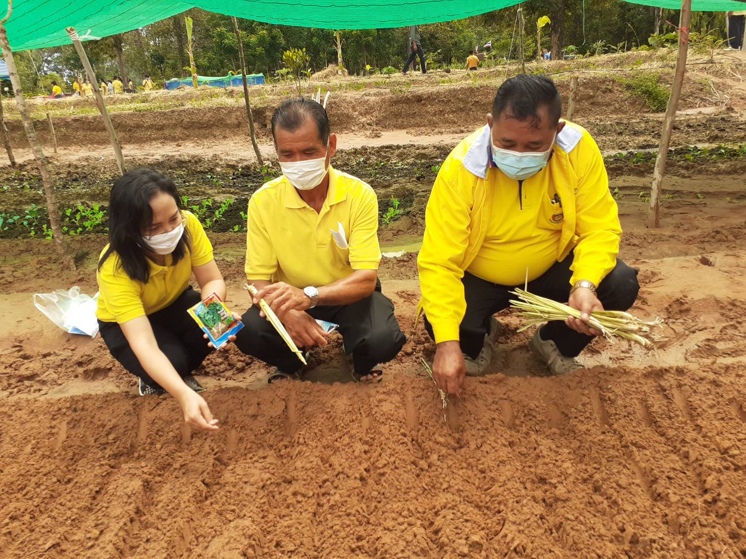 ? พช.ขอนแก่น เดินหน้า เอามื้อสามัคคี “โคก หนอง นาโมเดล” ?