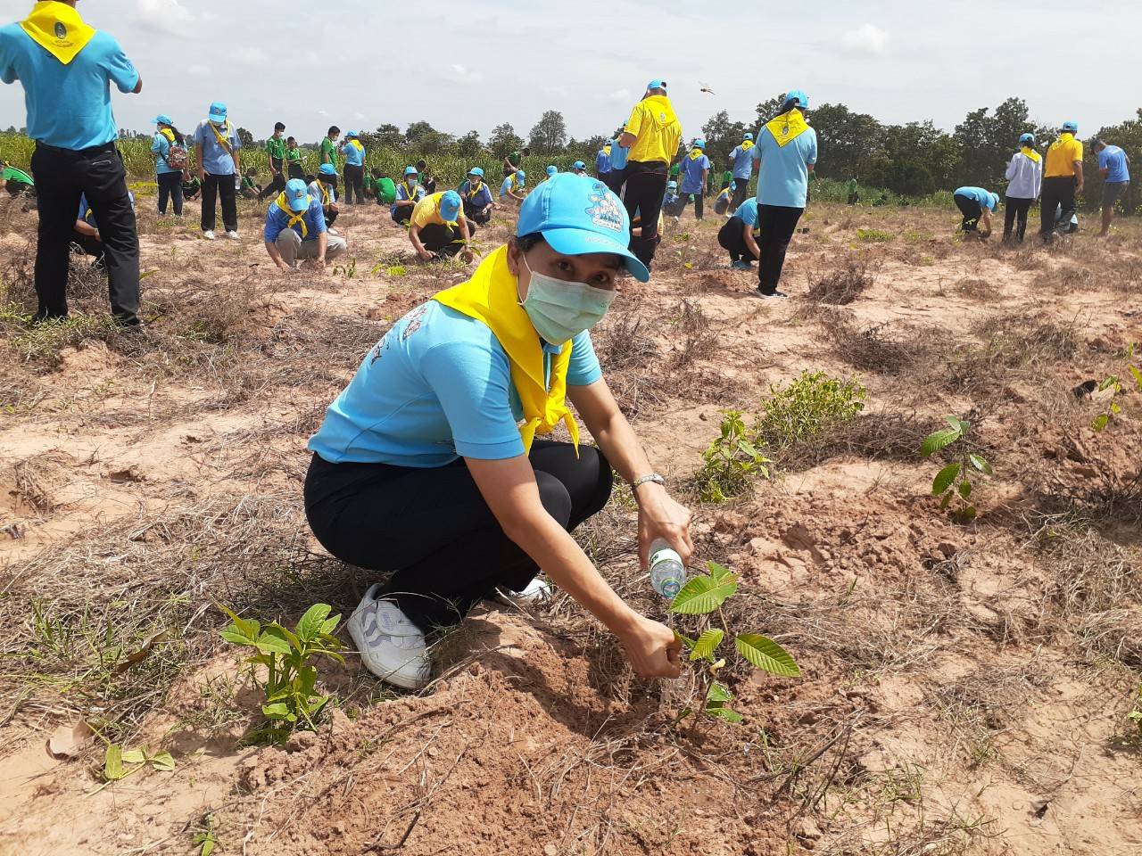 ? พช.ขอนแก่น : ร่วมกิจกรรมเฉลิมพระเกียรติสมเด็จพระนางเจ้าสิริกิติ์ พระบรมราชินีนาถ พระบรมราชชนนีพันปีหลวง เนื่องในโอกาสวันเฉลิมพระชนมพรรษา 12 สิงหาคม 2563 ?