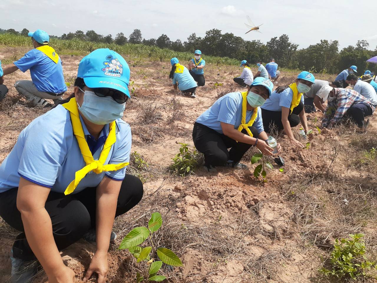 ? พช.ขอนแก่น : ร่วมกิจกรรมเฉลิมพระเกียรติสมเด็จพระนางเจ้าสิริกิติ์ พระบรมราชินีนาถ พระบรมราชชนนีพันปีหลวง เนื่องในโอกาสวันเฉลิมพระชนมพรรษา 12 สิงหาคม 2563 ?