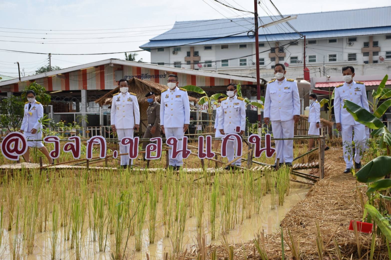 ? พช.ขอนแก่น : ร่วมพิธีมอบเกียรติบัตร โครงการพระราชทาน “โคก หนอง นา แห่งน้ำใจและความหวัง” เรือนจำกลางขอนแก่น ?