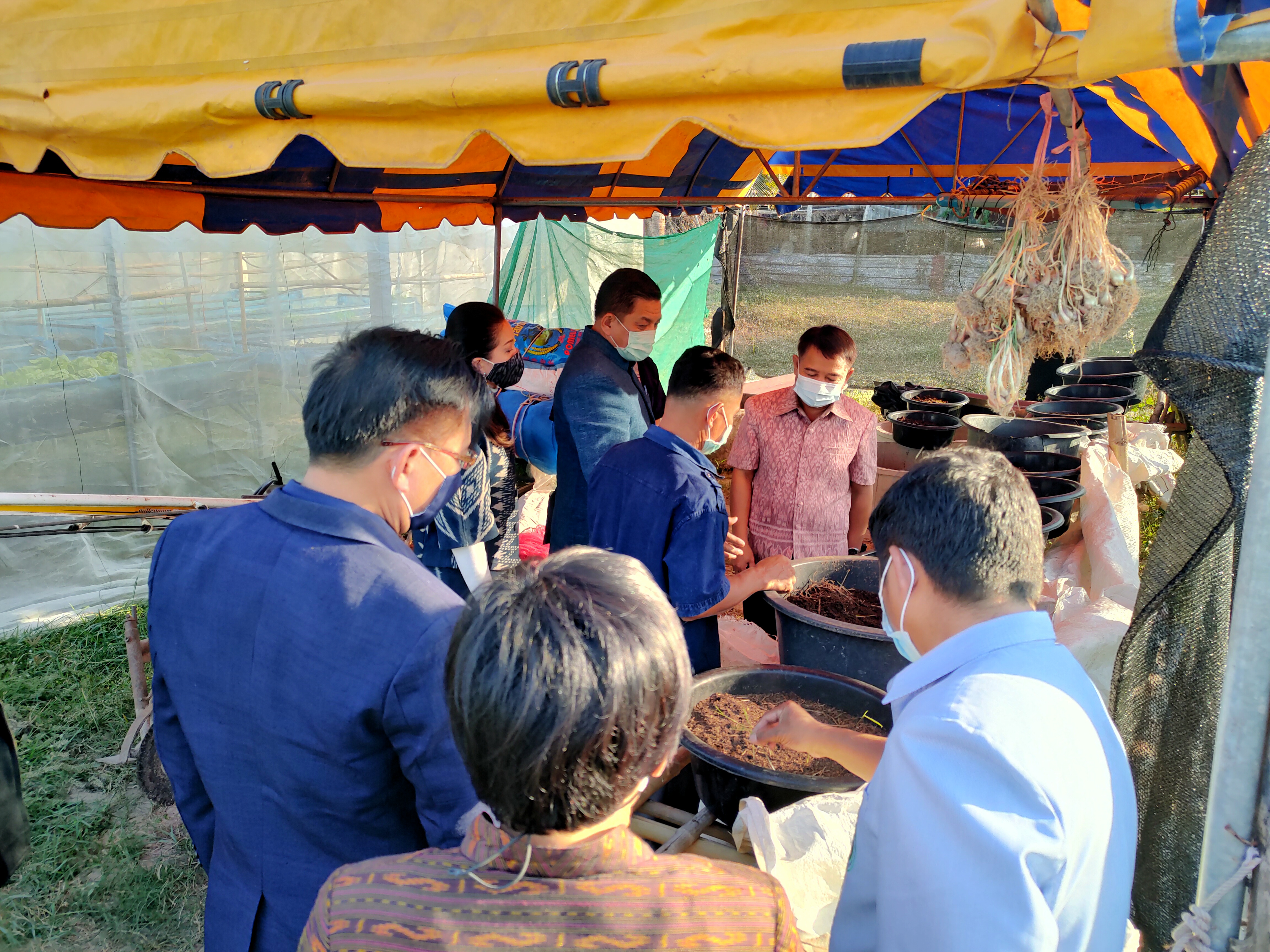 ?พช.ขอนแก่น : ติดตามดำเนินงานเขาเยี่ยมชมแปลงผักเพื่อสร้างความมั่นคงทางอาหาร (Food bank) ณ บ้านหนองบัวน้อย ม.4 ตำบลสระแก้ว และเยี่ยมครัวเรือนยากจนตามโครการคู่เสี่ยวเกี่ยวก้อยแก้จนคนขอนแก่น และโครงการปิดทองหลังพระ แปลงผักปลอดภัย เพื่อสร้างความมั่นคงทางอาหาร บ้านเปือยน้อย ม.2 ตำบลเปือยน้อย อำเภอเปือยน้อย?
