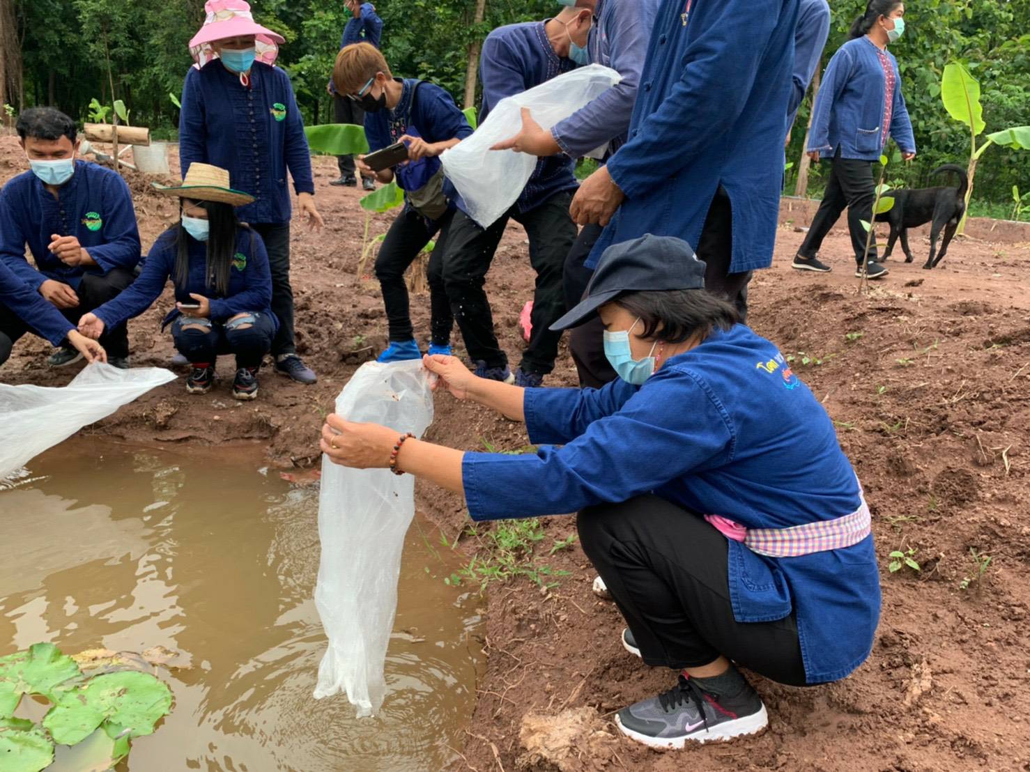 >>พช.ขอนแก่น : ร่วมโครงการพัฒนาพื้นที่ต้นแบบการพัฒนาคุณภาพชีวิต ตามหลักทฤษฎีใหม่ ประยุกต์สู่ “โคก หนอง นา โมเดล” *กิจกรรม* : เอามื้อ สามัคคี “โคก หนอง นา พช.”
