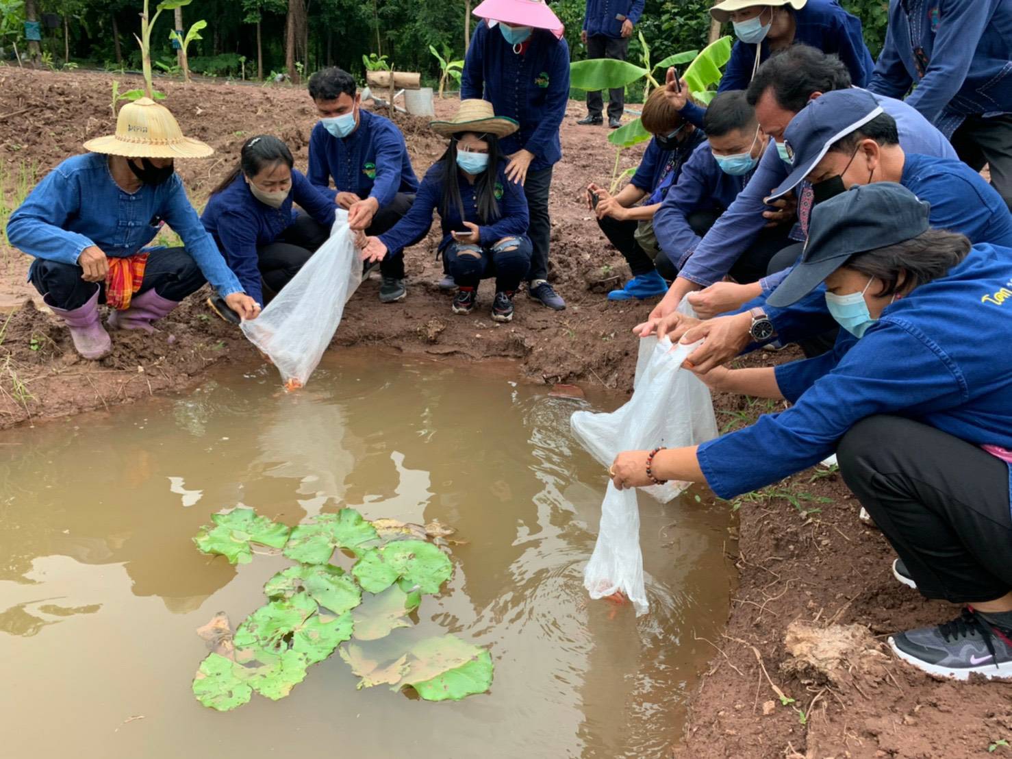 >>พช.ขอนแก่น : ร่วมโครงการพัฒนาพื้นที่ต้นแบบการพัฒนาคุณภาพชีวิต ตามหลักทฤษฎีใหม่ ประยุกต์สู่ “โคก หนอง นา โมเดล” *กิจกรรม* : เอามื้อ สามัคคี “โคก หนอง นา พช.”