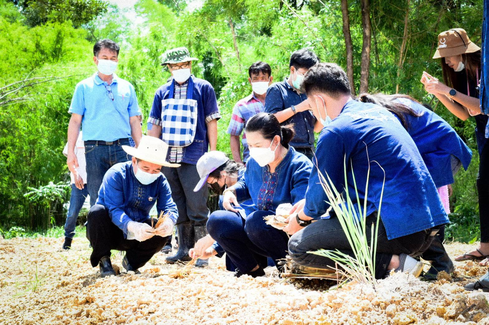 พช.ขอนแก่น : ปลูกแฝก ปลูกต้นไม้ ให้ความสมบูรณ์ใน แปลง “โคก หนอง นา พช.  ฉลุย เดินหน้าขับเคลื่อนพื้นที่ต้นแบบ พัฒนาคุณภาพชีวิตยั่งยืน