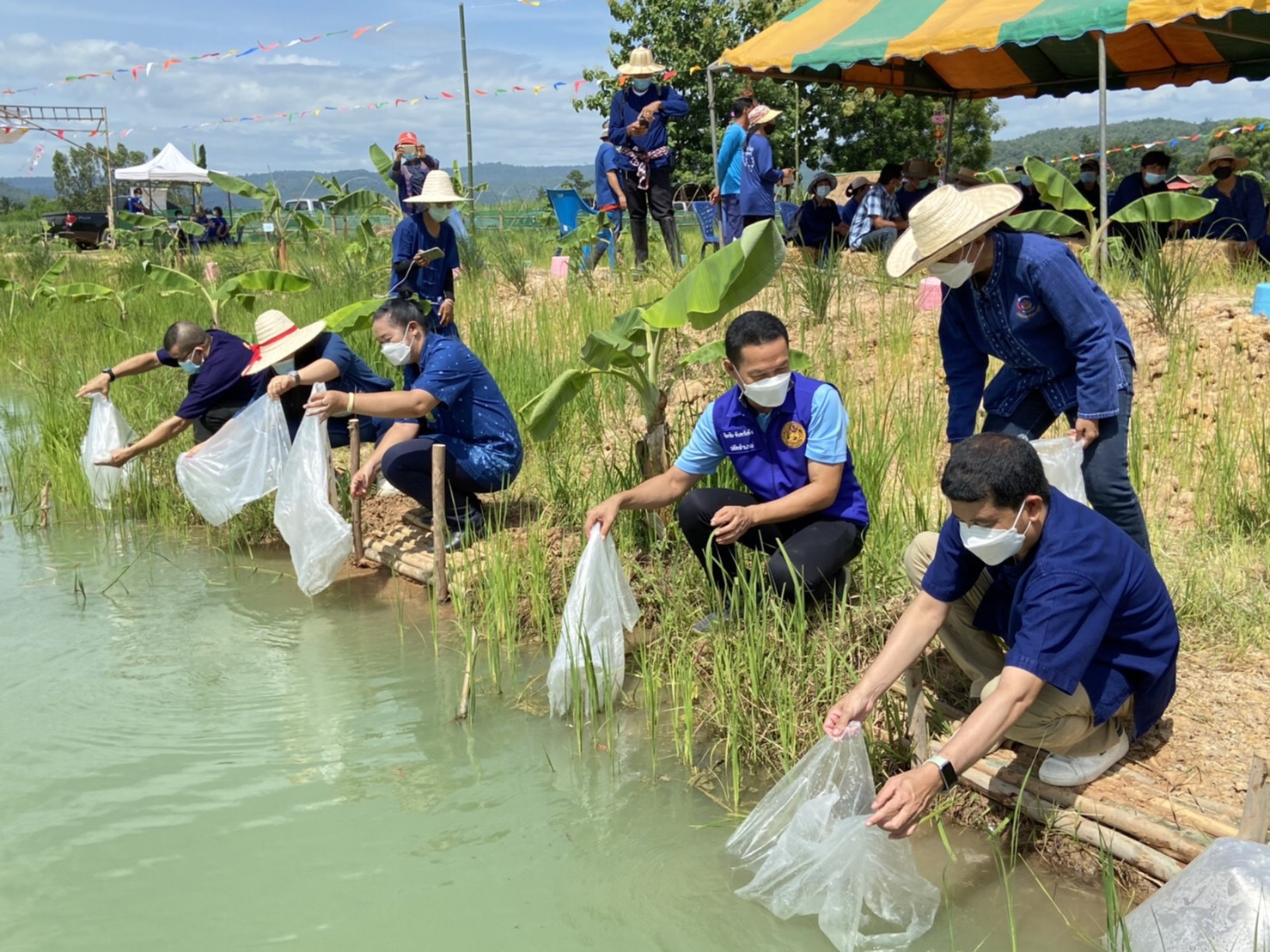 ? พช.ขอนแก่น : ร่วมกิจกรรมเอามื้อสามัคคี “โคก หนอง นา โมเดล” อำเภอเวียงเก่า ?