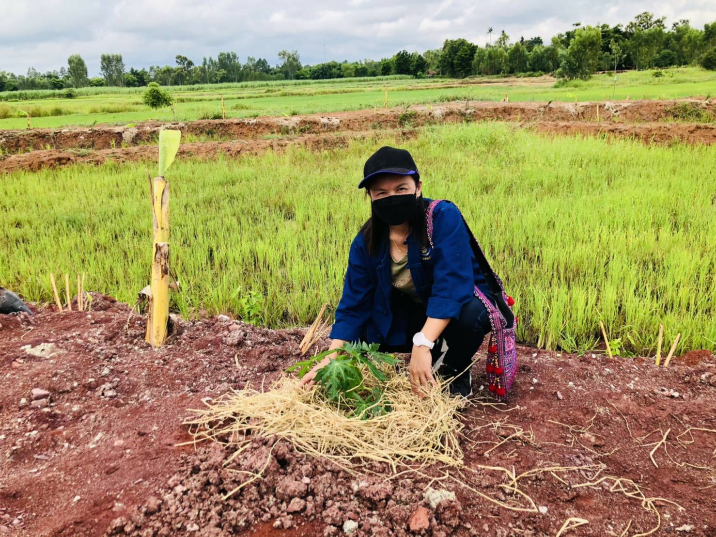 พช.ขอนแก่น : ร่วมเอามื้อสามัคคี “โคก หนอง นา โมเดล” กิจกรรมกระตุ้นการบริโภครายครัวเรือนและเอกชนผ่านกิจกรรมการพัฒนาและสนับสนุนพื้นที่ครัวเรือนต้นแบบการพัฒนาคุณภาพชีวิต ระดับครัวเรือน 