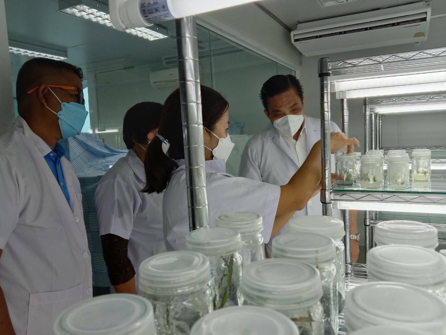 พช.ขอนแก่น : สนับสนุนการฝึกอบรมเพาะเลี้ยงเนื้อเยื่อพืช