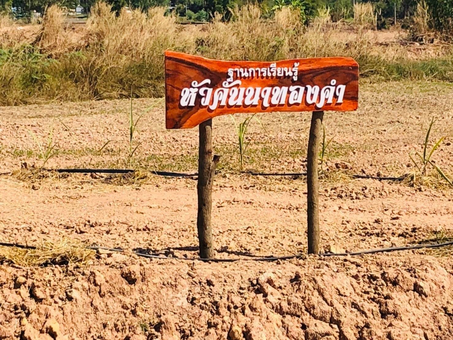 พช.ขอนแก่น : ลงพื้นที่เตรียมความพร้อมการจัดกิจกรรม เนื่องในวาระครบรอบ 53 ปี โครงการพัฒนาผู้นำอาสาพัฒนาชุมชน และกิจกรรมเอามื้อสามัคคี โครงการพัฒนาพื้นที่ต้นแบบการพัฒนาคุณภาพชีวิตตามหลักทฤษฎีใหม่ประยุกต์สู่ “โคก หนอง นา โมเดล”