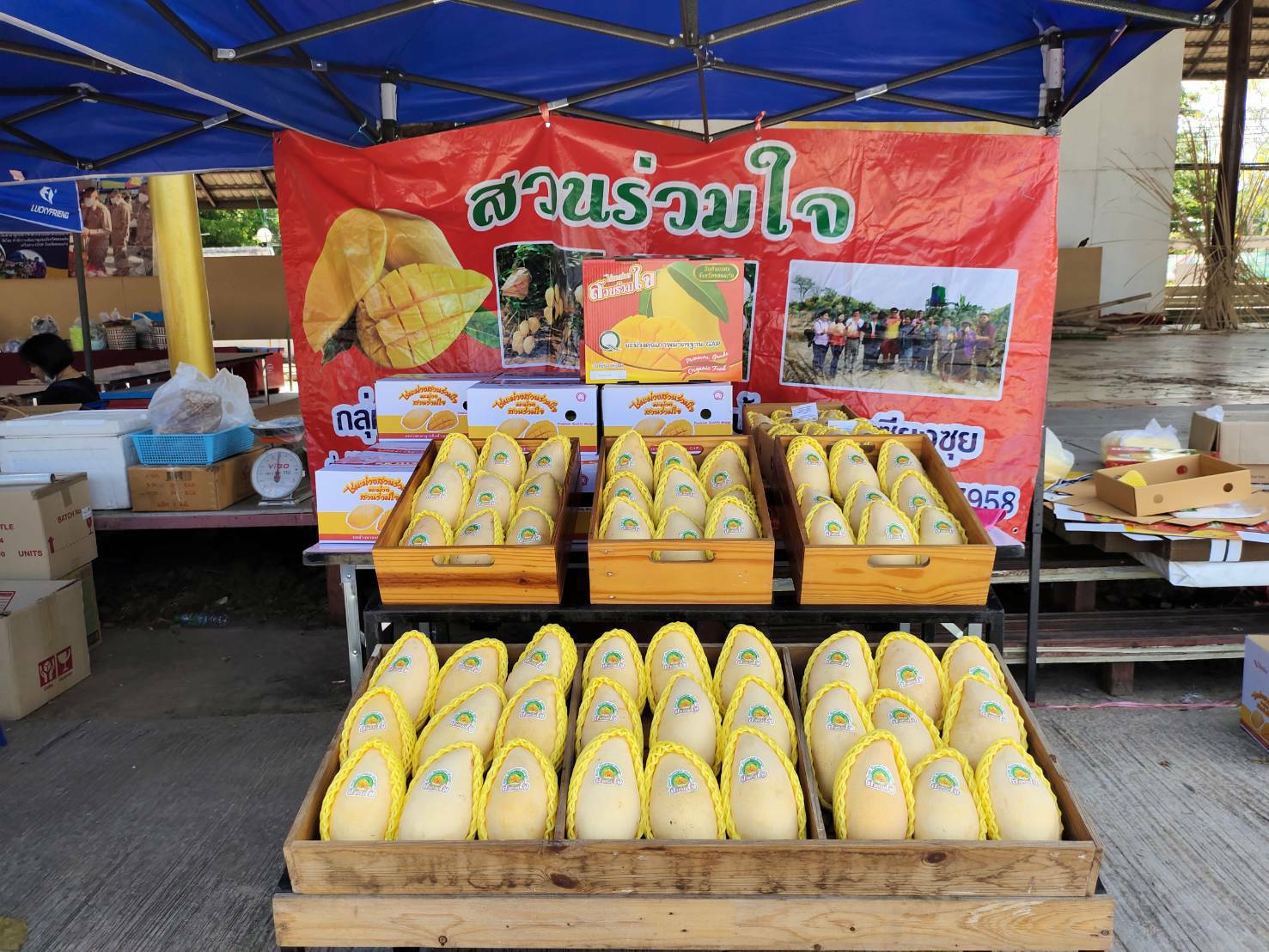 พช.ขอนแก่น : ยังเดินหน้าขับเคลื่อนตลาดนัดชุมชนประชารัฐสุขใจ สู้ภัย COVID-19 อย่างต่อเนื่อง