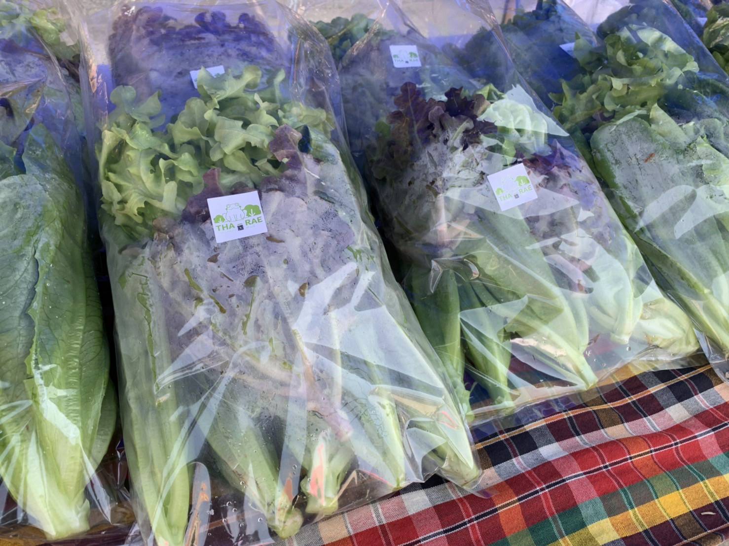 ?พช.ขอนแก่น : ?มาแล้วจ้า ตลาดนัดชุมชนประชาสุขใจ สู้ภัย COVID-19 ส่งตรงถึงมือคุณ???