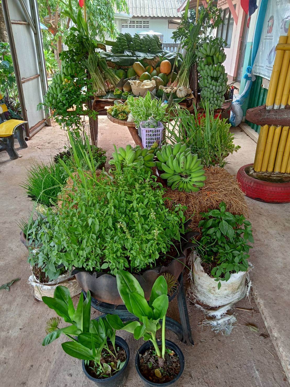 จังหวัดขอนแก่น : ดำเนินการคัดสรรกิจกรรมพัฒนาชุมชนดีเด่น ประจำปี 2565 ระดับกลุ่มอำเภอ วันสุดท้าย