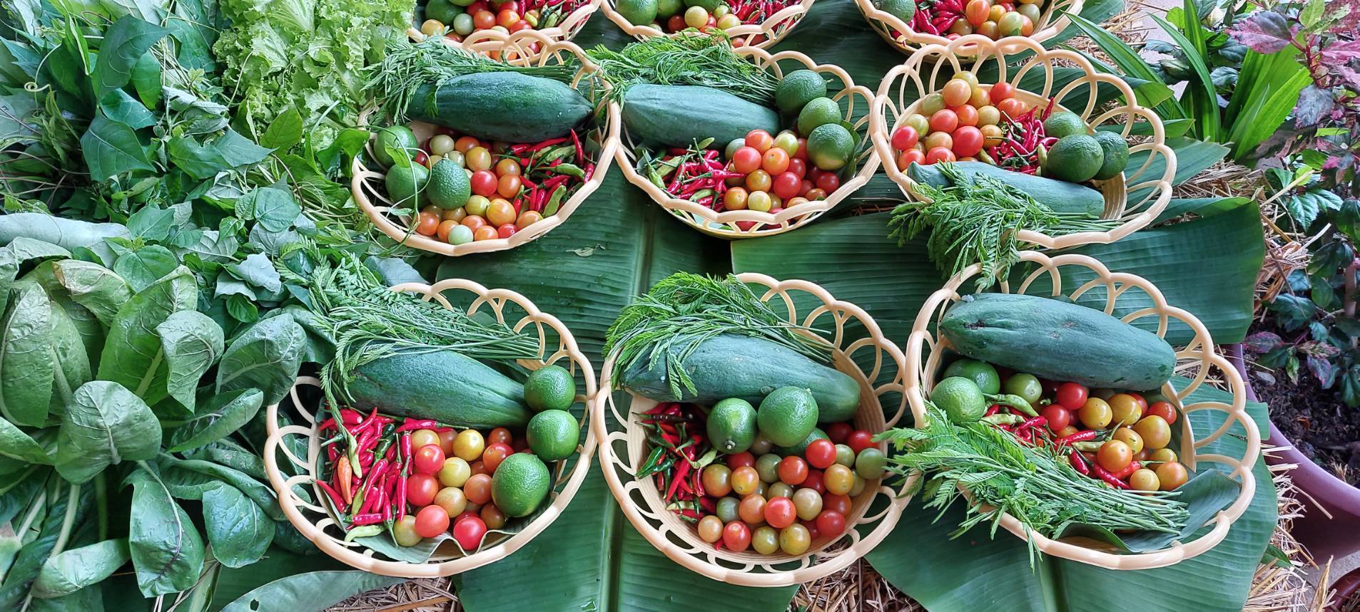 จังหวัดขอนแก่น : ดำเนินการคัดสรรกิจกรรมพัฒนาชุมชนดีเด่น ประจำปี 2565 ระดับกลุ่มอำเภอ วันสุดท้าย