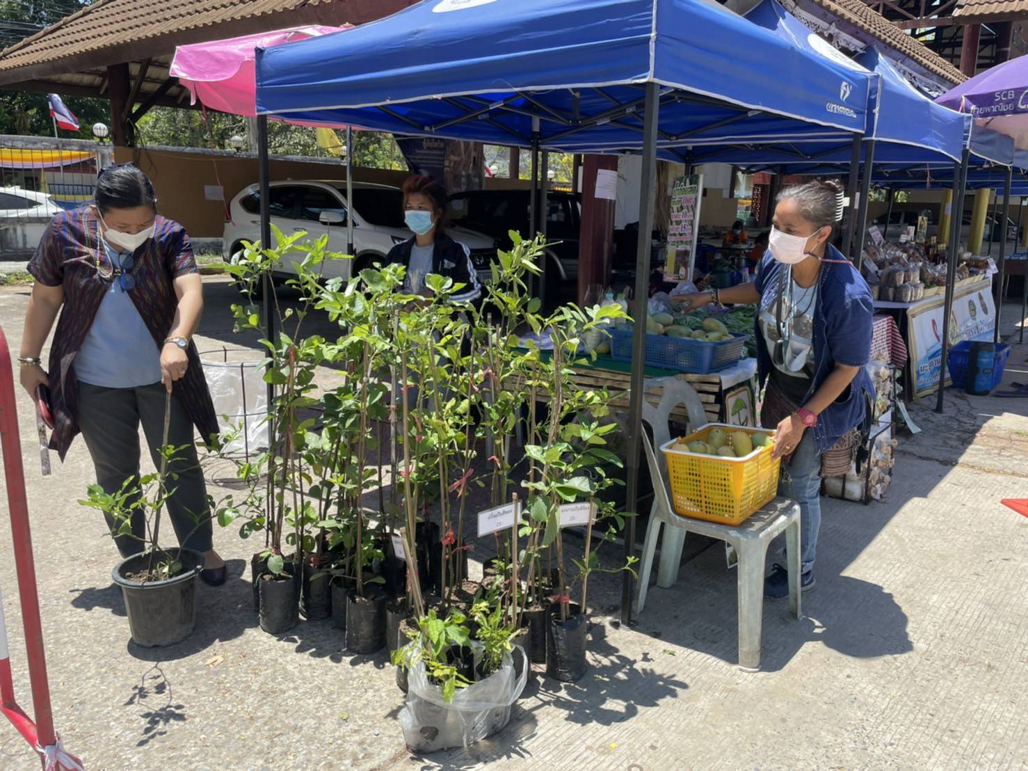 พช.ขอนแก่น : จัดตลาดนัดชุมชน ประชาสุขใจ สู้ภัย COVID -19 เพื่อช่วยเหลือพี่น้องเกษตรกร ผู้ผลิตผู้ประกอบการ OTOP กลุ่มผู้ผลิตในชุมชน