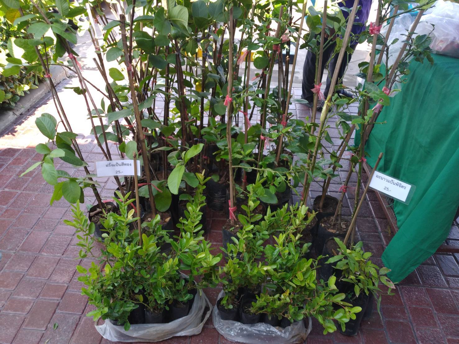 ?พช.ขอนแก่น : จัดตลาดนัดชุมชน ประชาสุขใจ สู้ภัย COVID -19 เพื่อช่วยเหลือพี่น้องเกษตรกร ผู้ผลิตผู้ประกอบการ OTOP กลุ่มผู้ผลิตในชุมชน