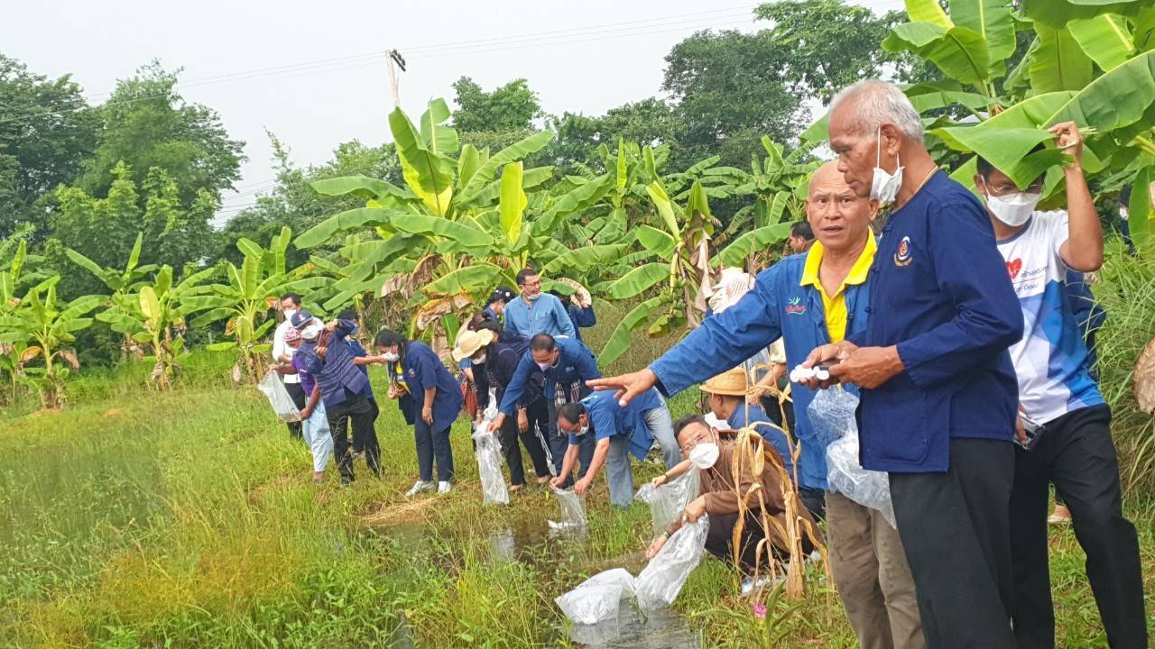 พช.ขอนแก่น : รองอธิบดี พช.(นายสุรศักดิ์ อักษรกุล) พร้อมคณะ ลงพื้นที่ติดตามผลการดำเนินโครงการ “โคก หนอง นา พช.” จ.ขอนแก่น