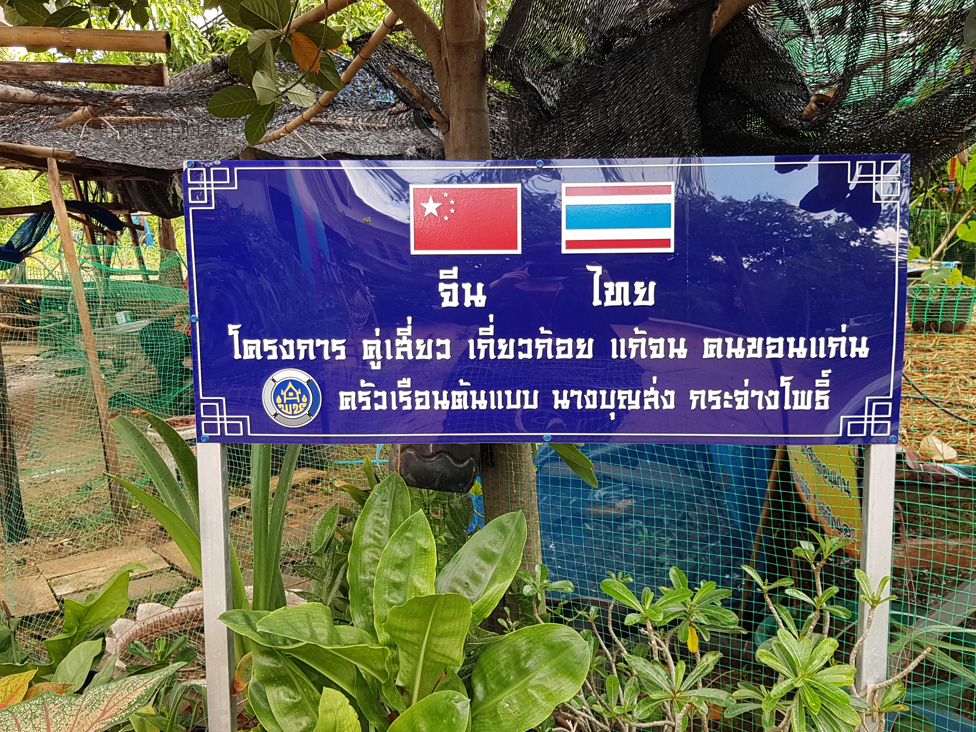 จังหวัดขอนแก่น : ถ่ายทำวิดีทัศน์ ผลสำเร็จโครงการคู่เสี่ยว เกี่ยวก้อย แก้จนคนขอนแก่น