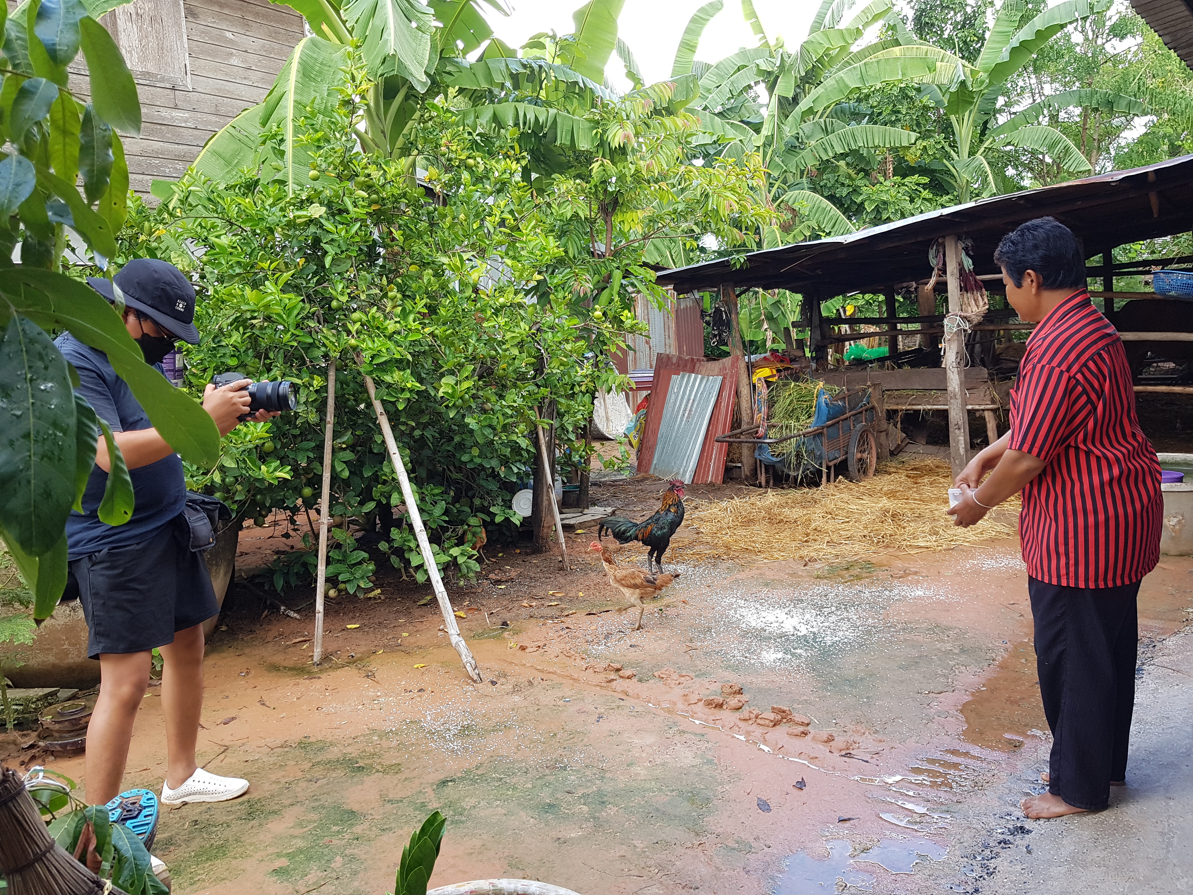 จังหวัดขอนแก่น : ถ่ายทำวิดีทัศน์ ผลสำเร็จโครงการคู่เสี่ยว เกี่ยวก้อย แก้จนคนขอนแก่น