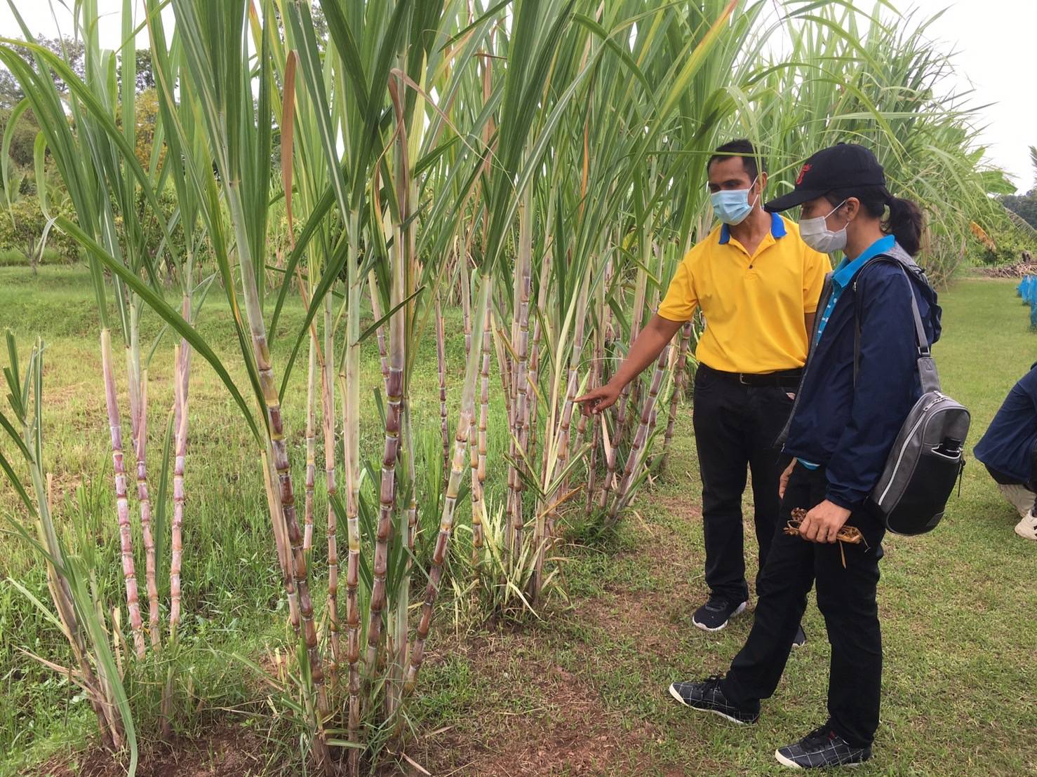 พช.ขอนแก่น : ร่วมต้อนรับคณะศึกษาดูงานจากกองฝึกอบรมภูมิภาค 2 (กปภ.2) การประปาส่วนภูมิภาค 