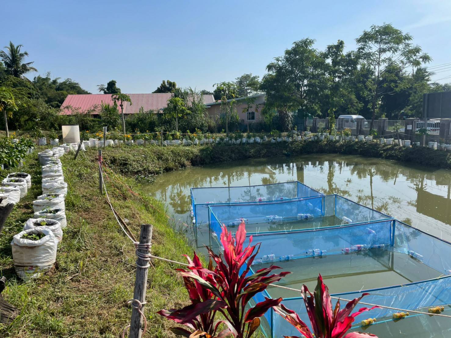 จังหวัดขอนแก่น : จัดประกวดศูนย์เรียนรู้ครัวเรือนต้นแบบ “โคก หนอง นา พัฒนาชุมชน” ระดับจังหวัด ประจำปี 2565