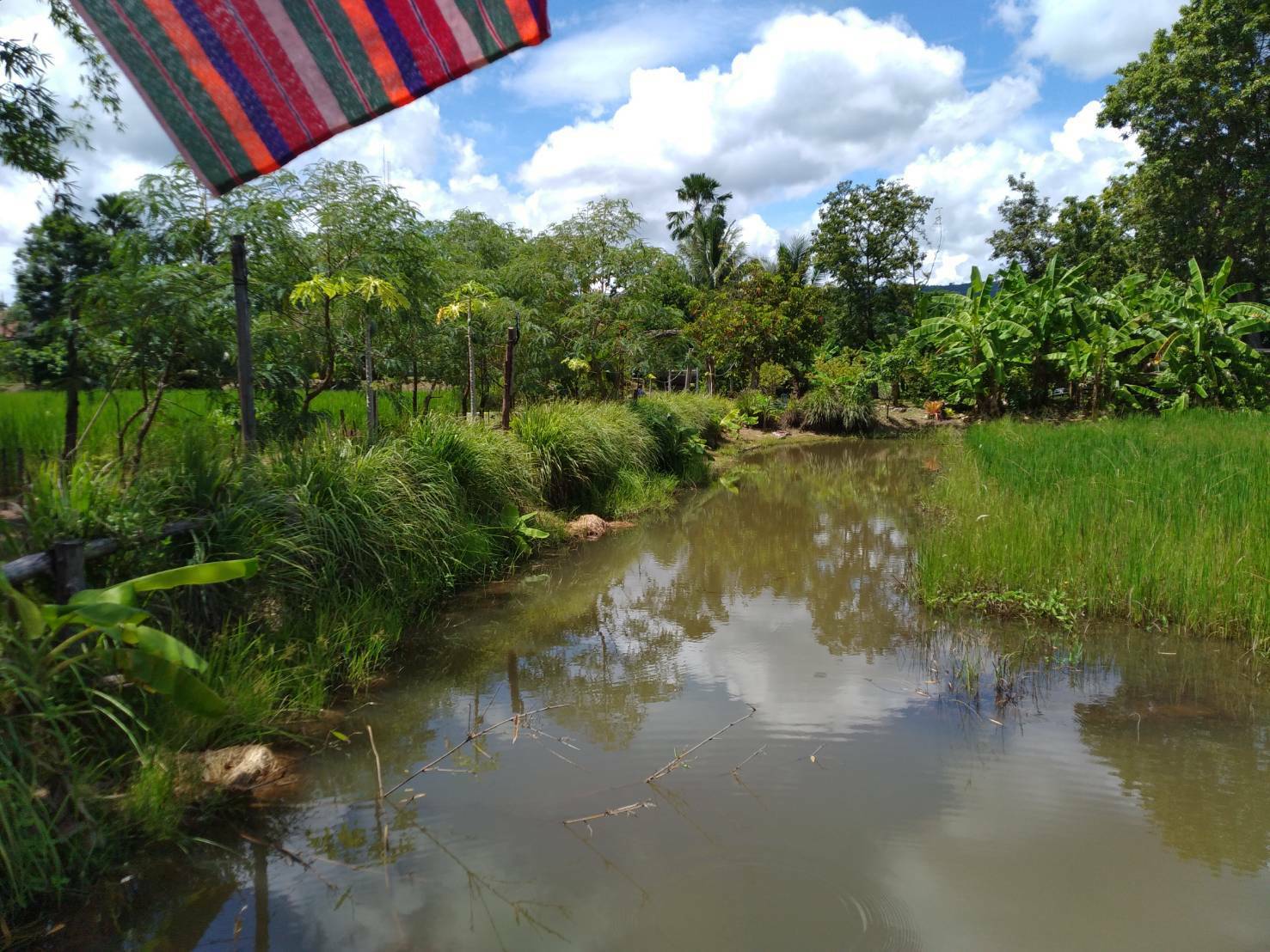 จังหวัดขอนแก่น : จัดประกวดศูนย์เรียนรู้ครัวเรือนต้นแบบ “โคก หนอง นา พัฒนาชุมชน” ระดับจังหวัด ประจำปี 2565
