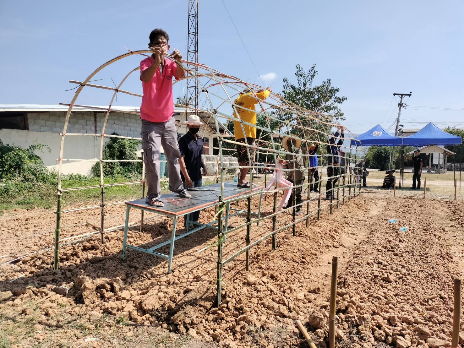 จังหวัดขอนแก่น : เดินหน้าขับเคลื่อนการน้อมนำแนวพระราชดำริของสมเด็จพระกนิษฐาธิราชเจ้า กรมสมเด็จพระเทพรัตนราชสุดา ฯ สยามบรมราชกุมารี สร้างความมั่นคงทางอาหาร พร้อม Kick off ปฏิบัติการ 45 วัน ปลูกผักสวนครัว รณรงค์ปลูกพืชผักสมุนไพร ต้านภัย COVID – 19 