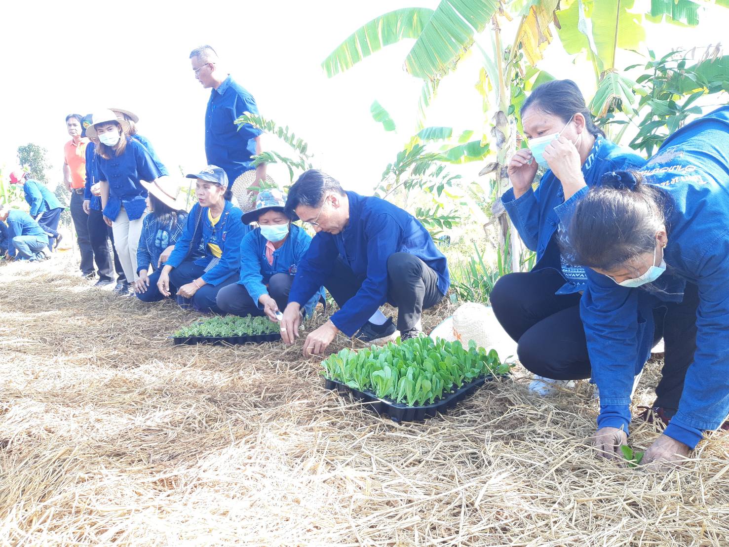 จังหวัดขอนแก่น : เดินหน้าสร้างความมั่นคงทางอาหารน้อมนำแนวพระราชดำริของสมเด็จพระกนิษฐาธิราชเจ้า กรมสมเด็จพระเทพรัตนราชสุดา ฯ สยามบรมราชกุมารี พร้อม Kick off ปฏิบัติการ 45 วัน ปลูกผักสวนครัว รณรงค์ปลูกพืชผักสมุนไพร ต้านภัย COVID – 19 พร้อมกัน 26 อำเภอ ควบคู่กับการจัดทำถังขยะเปียกลดโลกร้อน