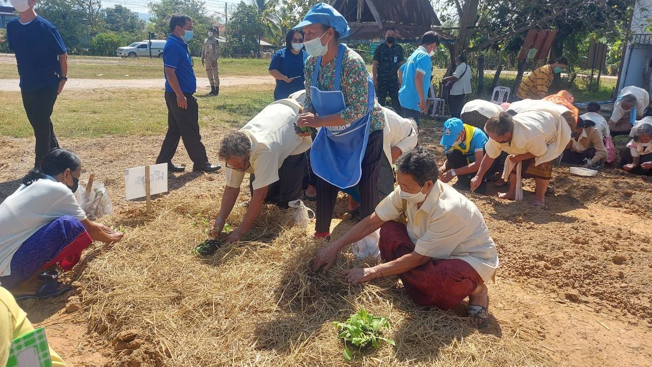 จังหวัดขอนแก่น : เดินหน้าสร้างความมั่นคงทางอาหารน้อมนำแนวพระราชดำริของสมเด็จพระกนิษฐาธิราชเจ้า กรมสมเด็จพระเทพรัตนราชสุดา ฯ สยามบรมราชกุมารี พร้อม Kick off ปฏิบัติการ 45 วัน ปลูกผักสวนครัว รณรงค์ปลูกพืชผักสมุนไพร ต้านภัย COVID – 19 พร้อมกัน 26 อำเภอ ควบคู่กับการจัดทำถังขยะเปียกลดโลกร้อน