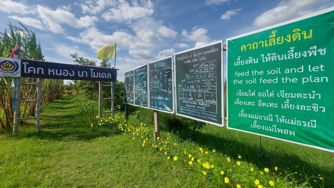 พช.ขอนแก่น : ดำเนินโครงการพัฒนาหมู่บ้านเศรษฐกิจพอเพียง กิจกรรมย่อยที่ 1 กิจกรรมที่ 1 สร้างและพัฒนากลไกขับเคลื่อนในระดับพื้นที่ กิจกรรมที่ 1.1 อบรมแกนนำขับเคลื่อนหมู่บ้านเศรษฐกิจพอเพียง (วันที่ 2)