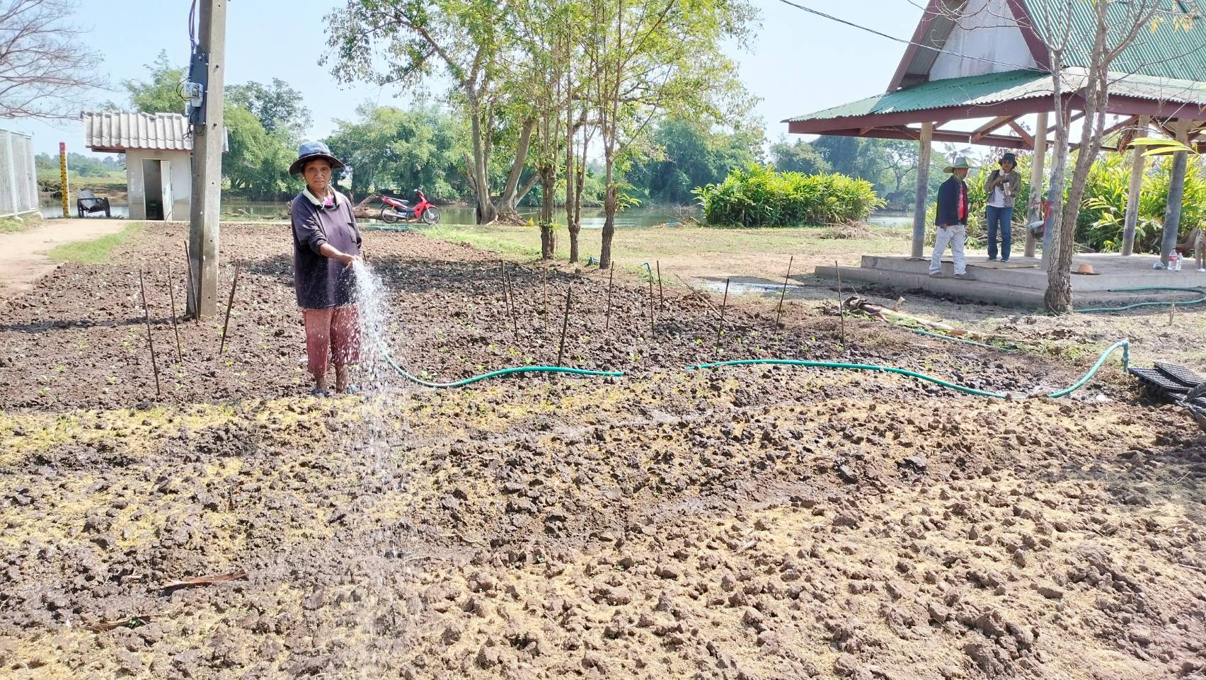 จังหวัดขอนแก่น : แรงไม่แผ่ว!!! เดินหน้าขับเคลื่อนการน้อมนำแนวพระราชดำริของสมเด็จพระกนิษฐาธิราชเจ้า กรมสมเด็จพระเทพรัตนราชสุดา ฯ สยามบรมราชกุมารี สร้างความมั่นคงทางอาหาร สู่ปฏิบัติการปลูกผักสวนครัวเพื่อสร้างความมั่นคงทางอาหาร ย้ำภายใน 30 พฤศจิกายน 2565 ทุกอำเภอ ปลูกพืชผักสวนครัว ครบ 100 %