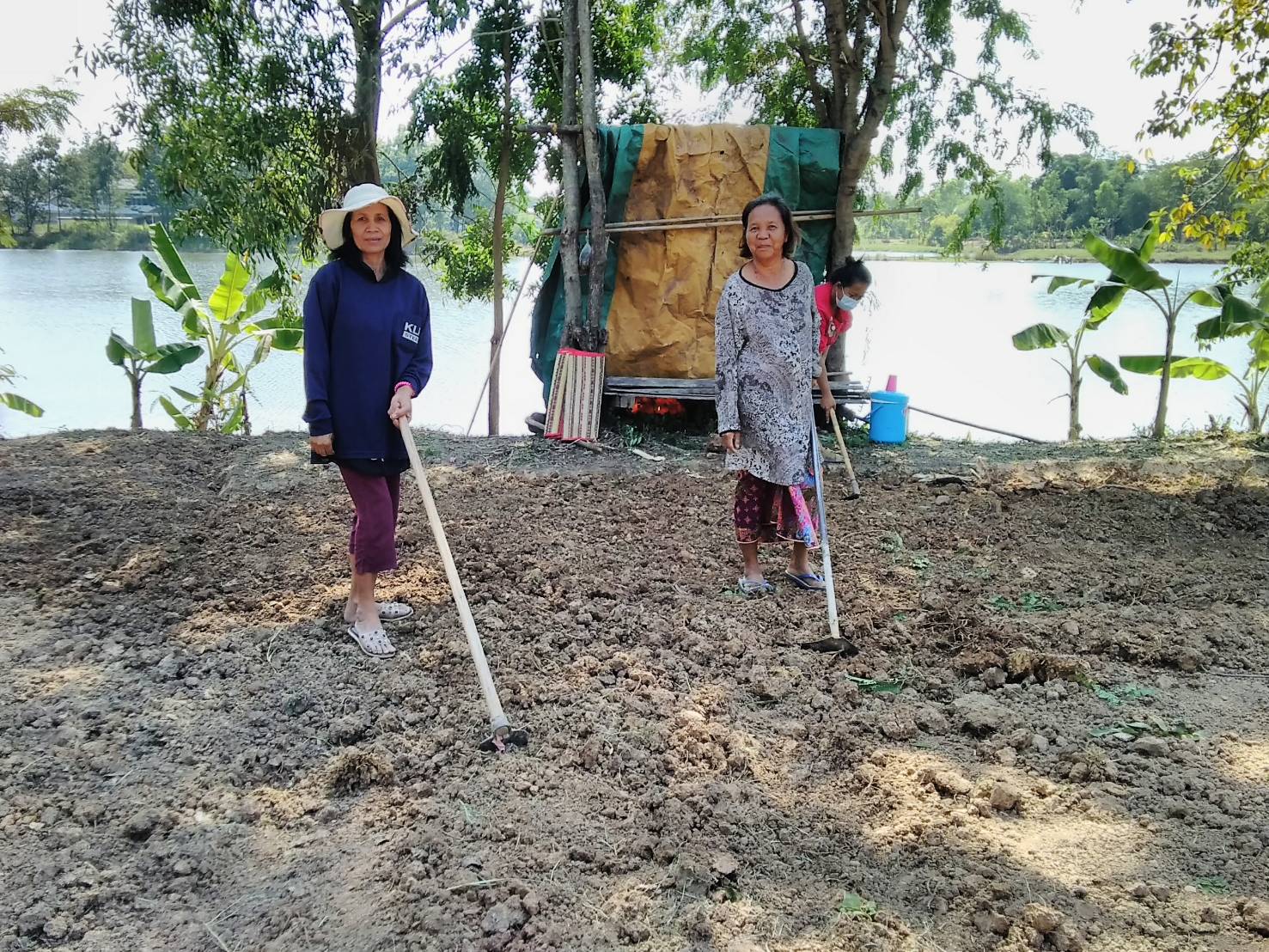 จังหวัดขอนแก่น : เดินหน้าขับเคลื่อนการน้อมนำแนวพระราชดำริของสมเด็จพระกนิษฐาธิราชเจ้า กรมสมเด็จพระเทพรัตนราชสุดา ฯ สยามบรมราชกุมารี สร้างความมั่นคงทางอาหาร พร้อม Kick off ปฏิบัติการ 45 วัน ปลูกผักสวนครัว รณรงค์ปลูกพืชผักสมุนไพร ต้านภัย COVID – 19 