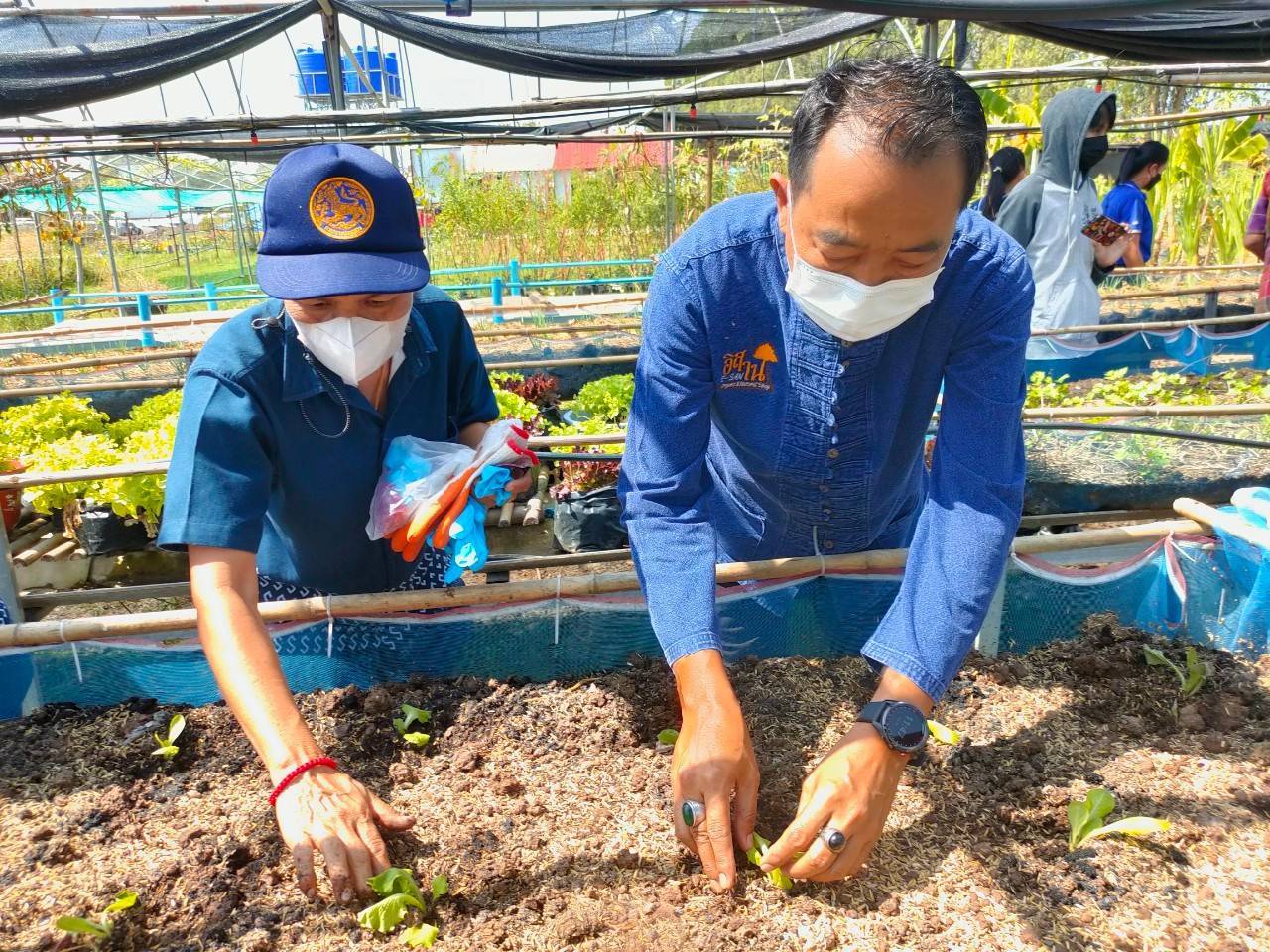 จังหวัดขอนแก่น : เดินหน้าสร้างความมั่นคงทางอาหารน้อมนำแนวพระราชดำริของสมเด็จพระกนิษฐาธิราชเจ้า กรมสมเด็จพระเทพรัตนราชสุดา ฯ สยามบรมราชกุมารี พร้อม Kick off ปฏิบัติการ 45 วัน ปลูกผักสวนครัว รณรงค์ปลูกพืชผักสมุนไพร ต้านภัย COVID – 19 พร้อมกัน 26 อำเภอ ควบคู่กับการจัดทำถังขยะเปียกลดโลกร้อน